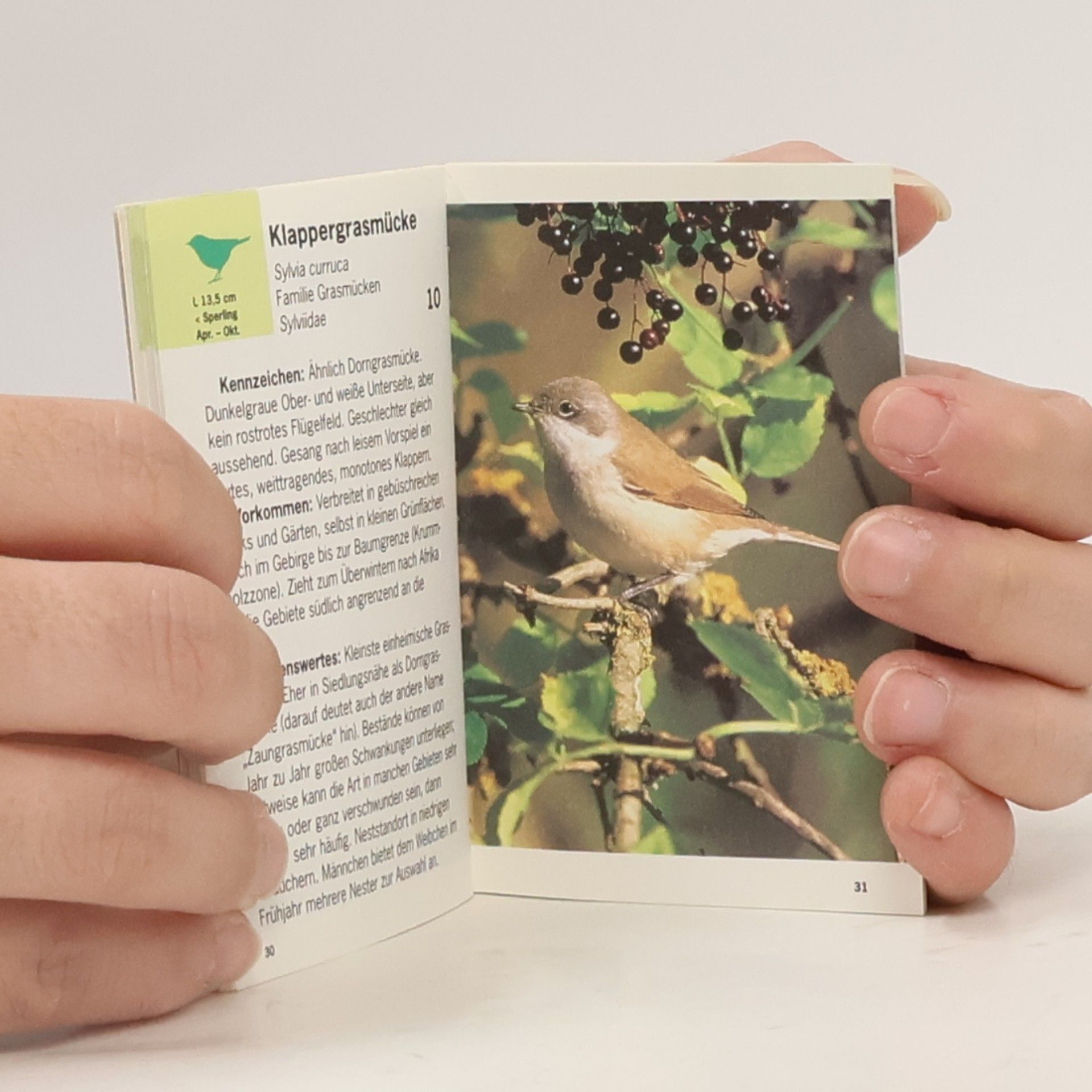 Rudolf Specht Unsere Gartenvögel und ihre Gesänge, m. Cassette