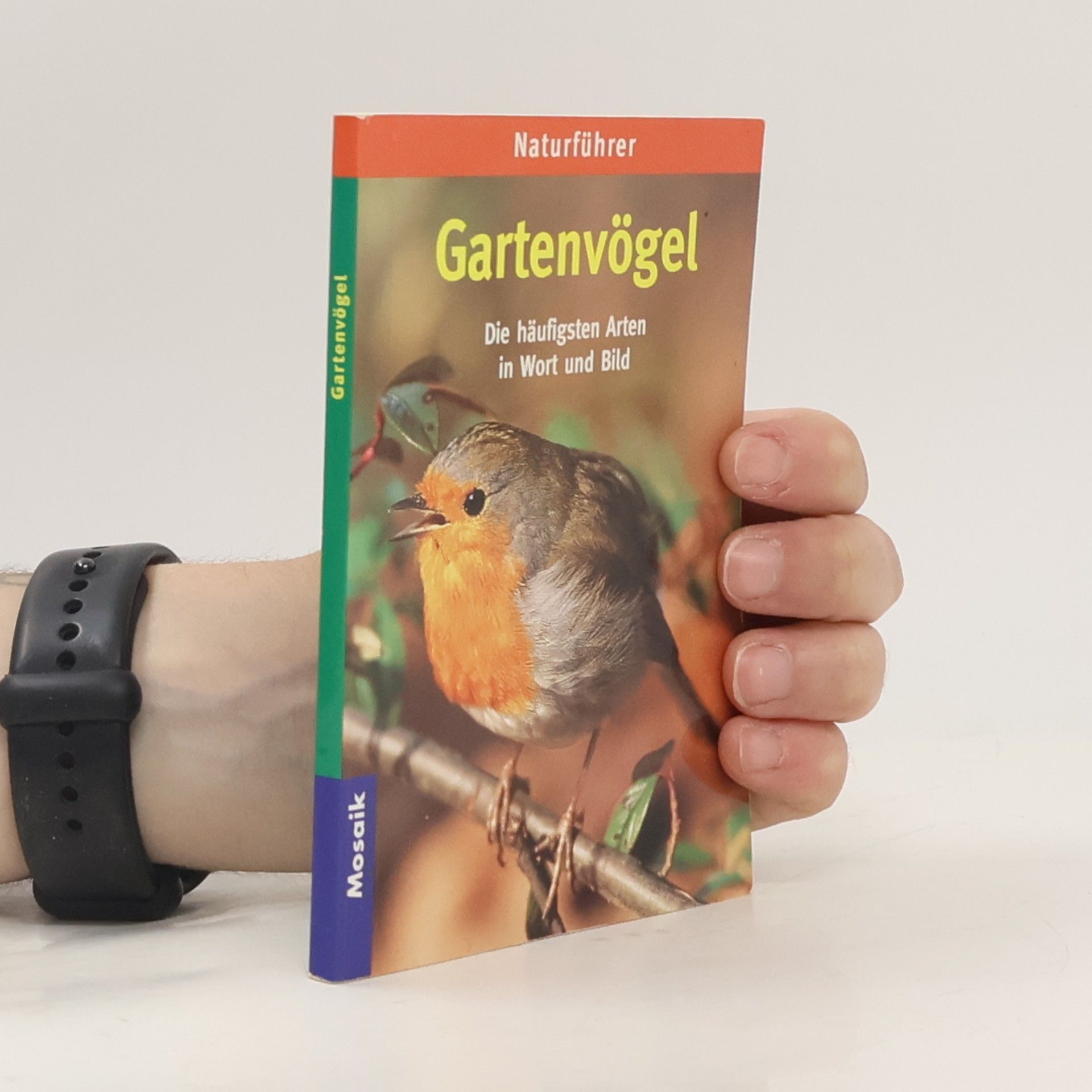 Elisabeth Keller Gartenvögel