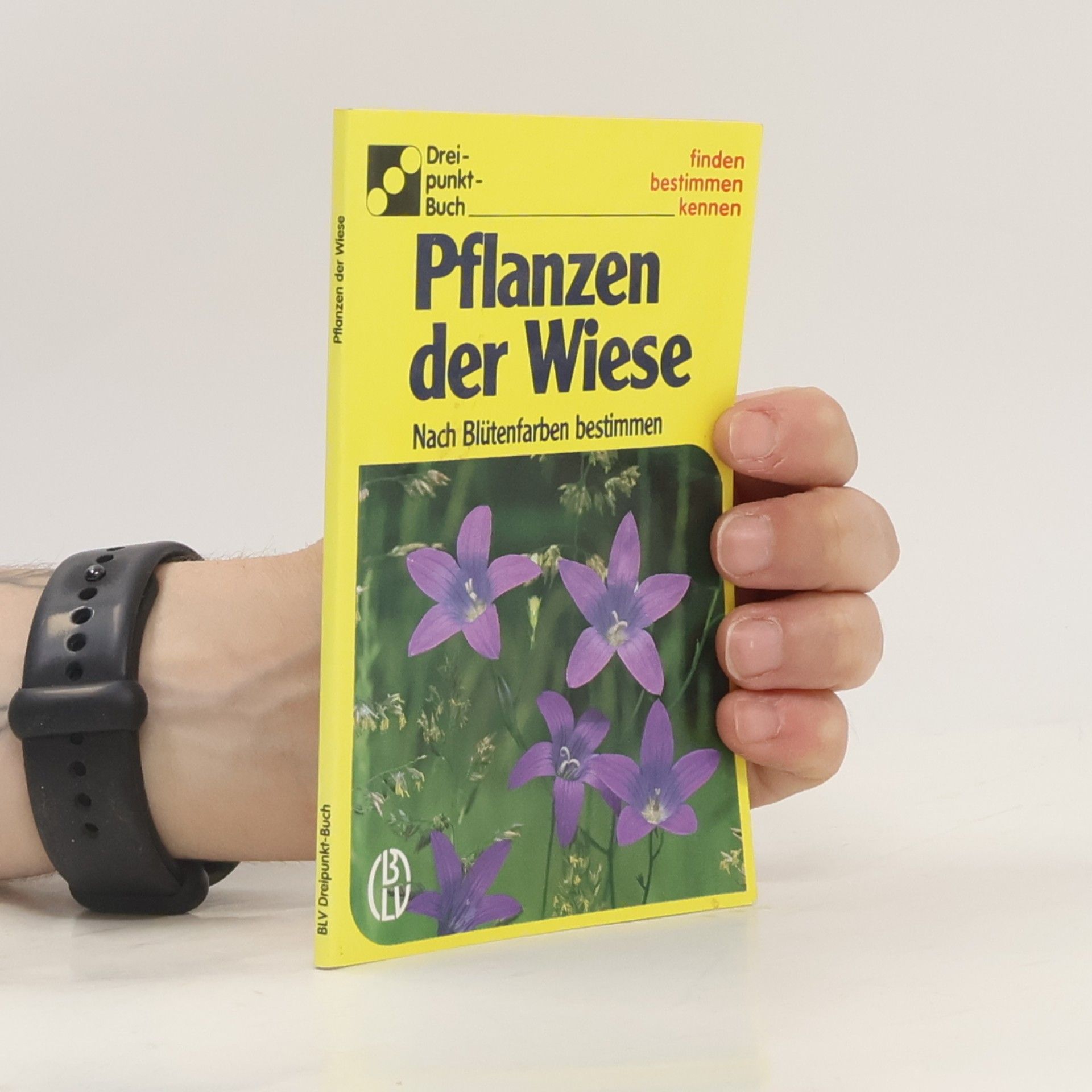Alfred Handel Pflanzen der Wiese