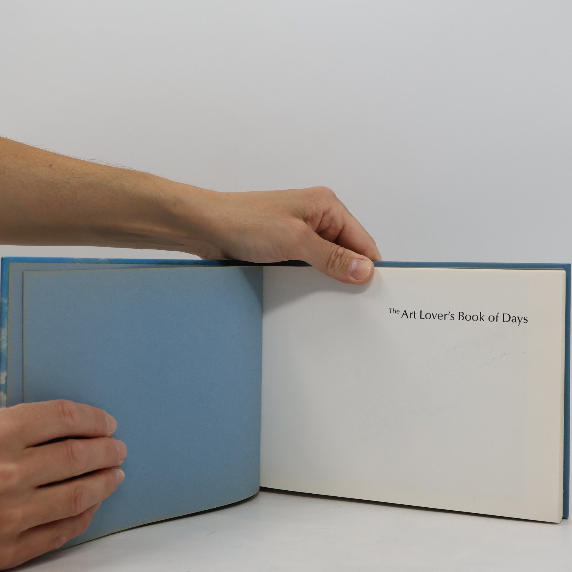 Lydia Staub Art Lover's Book of Days