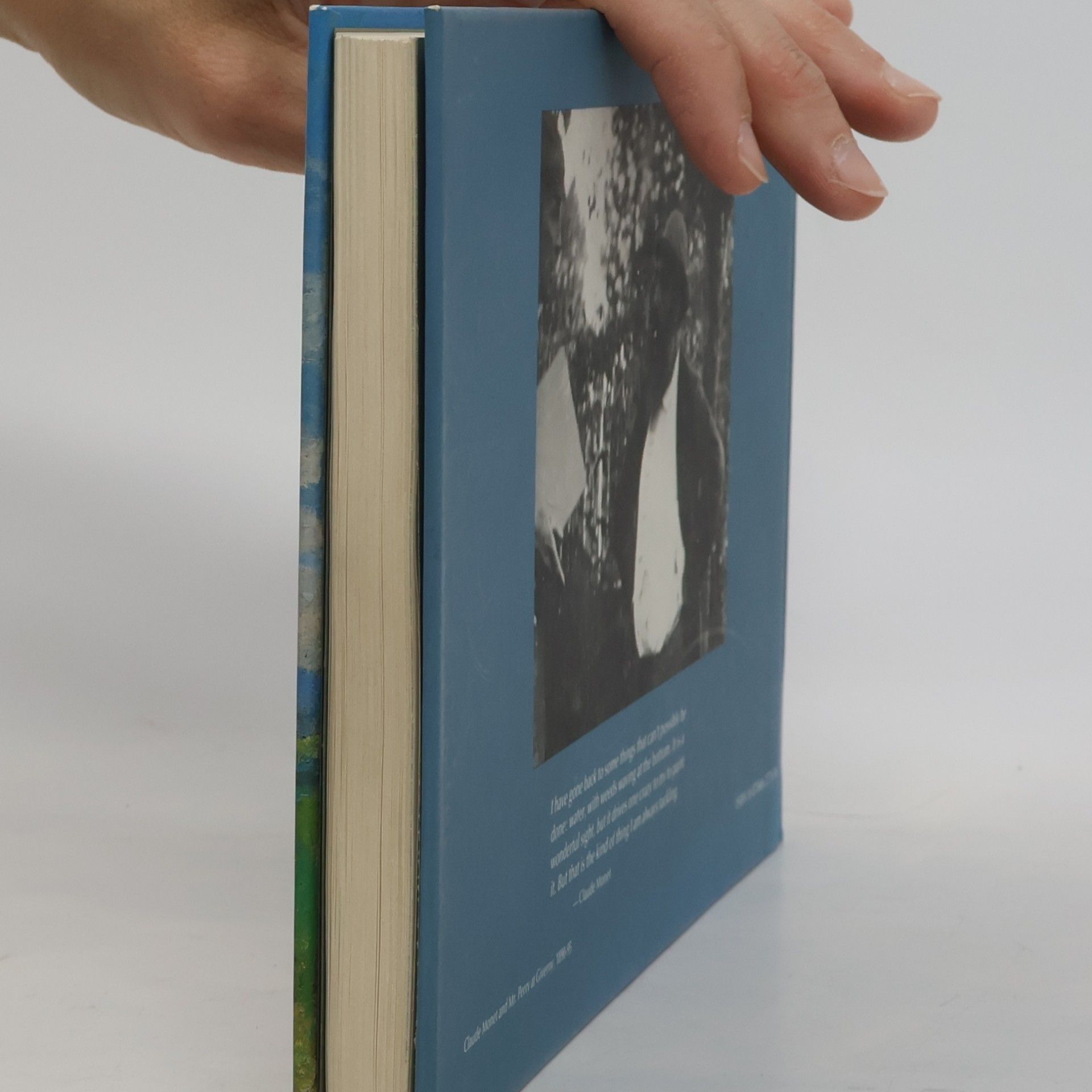 Lydia Staub Art Lover's Book of Days
