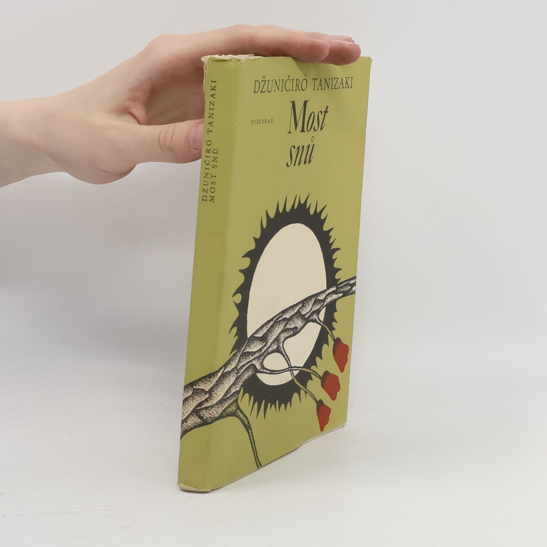 Junichiro Tanizaki Most snů