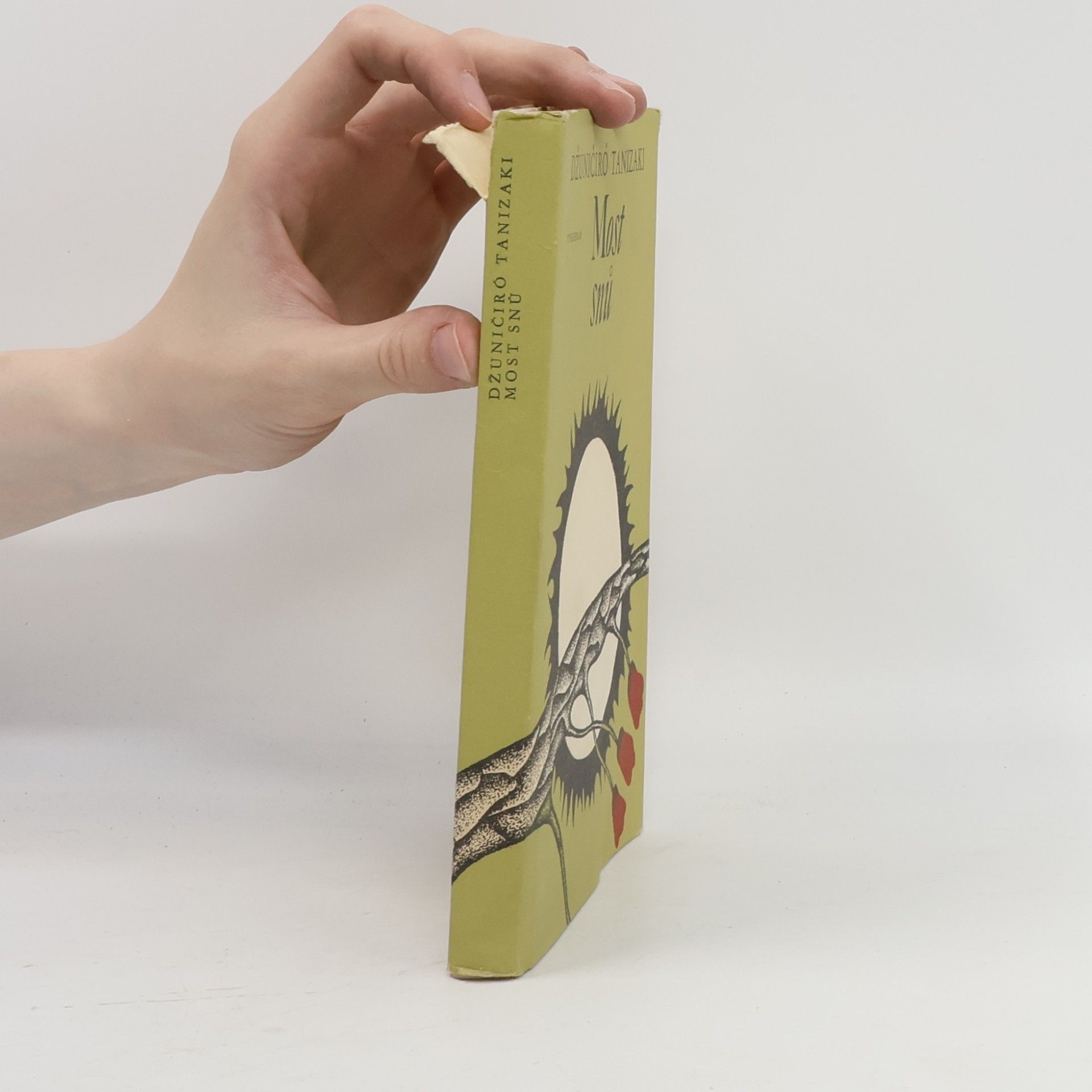Junichiro Tanizaki Most snů