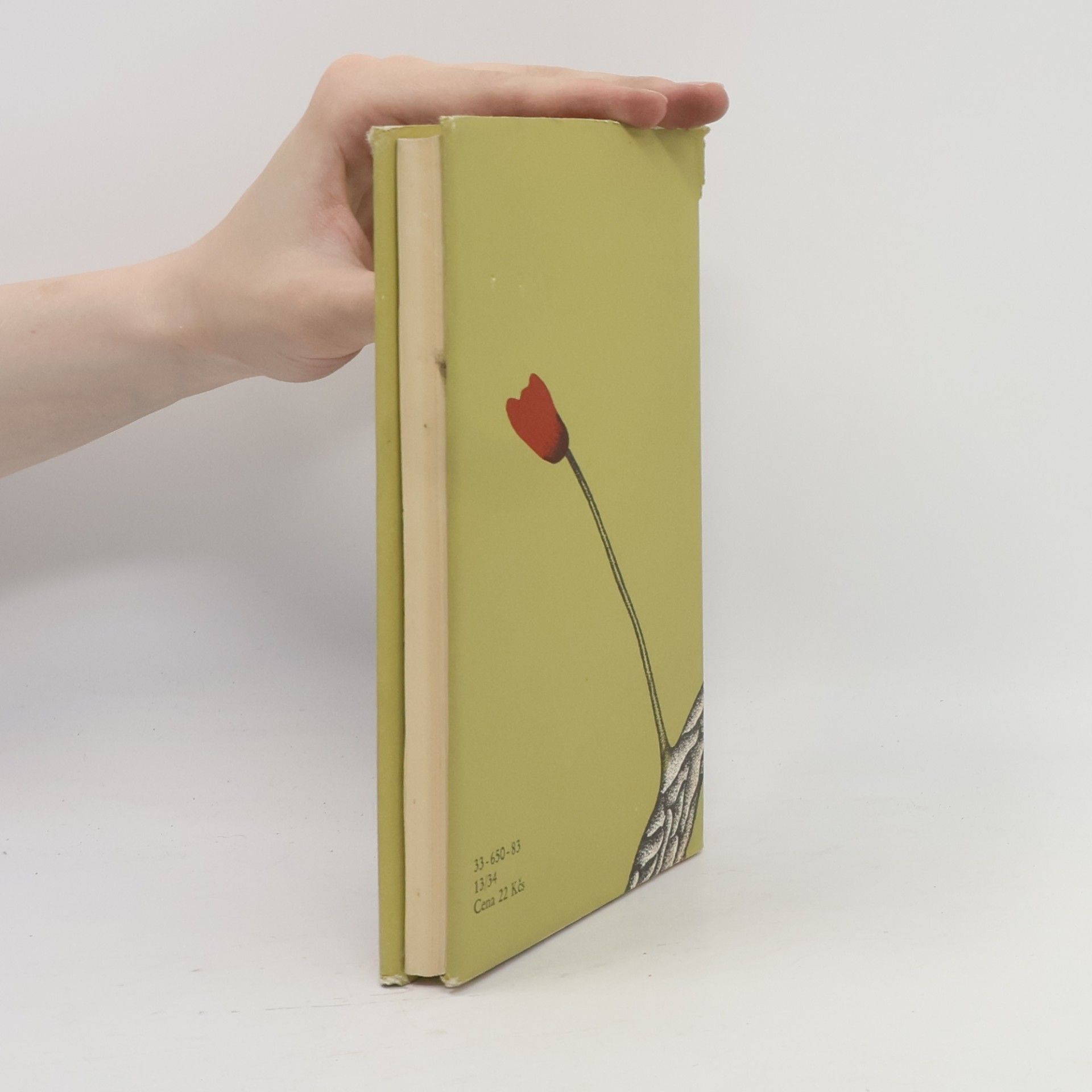 Junichiro Tanizaki Most snů