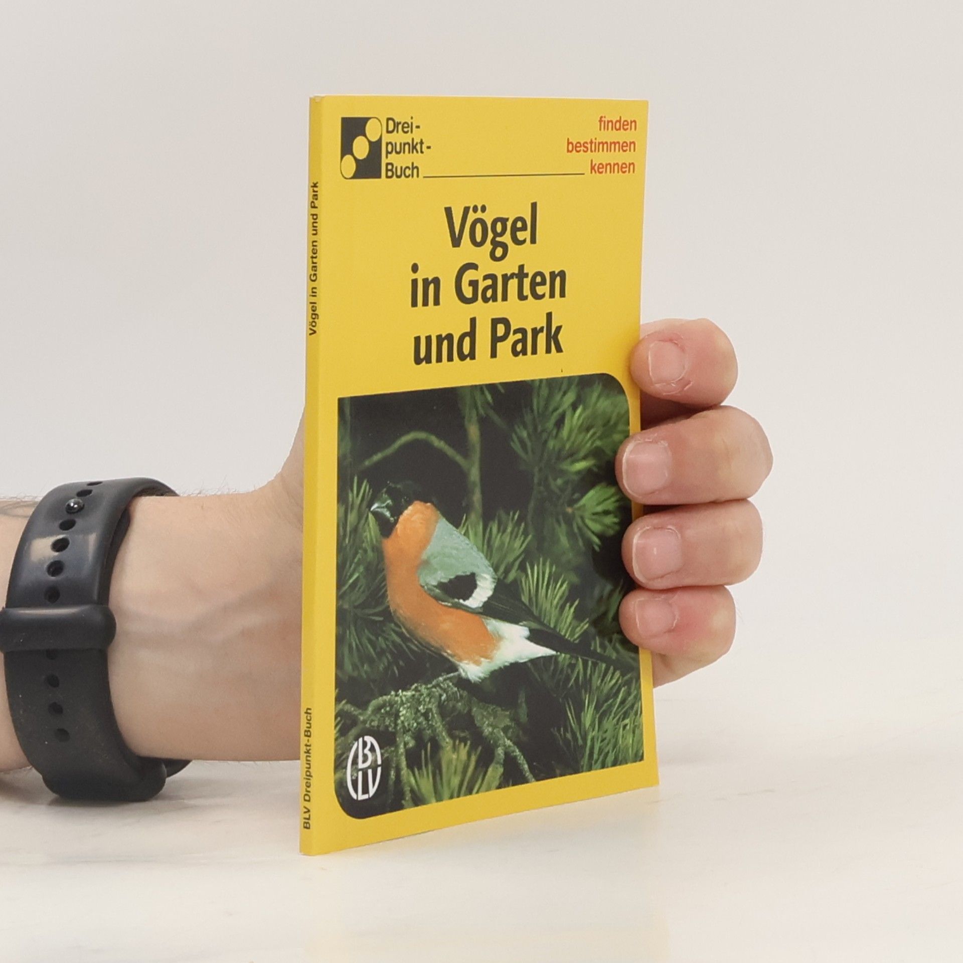Ute E. Zimmer Vögel in Garten und Park