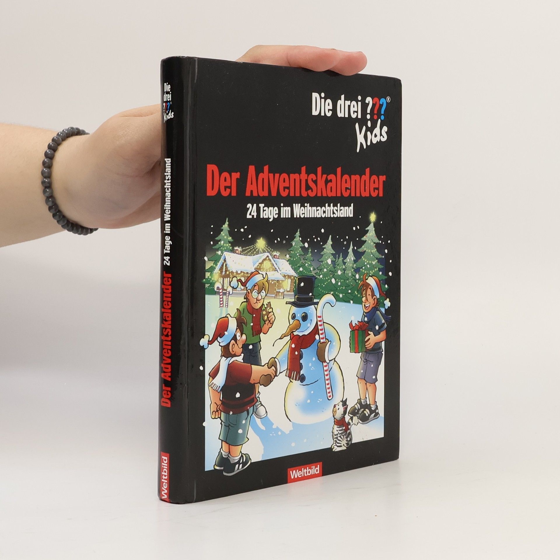 Ulf Blanck Der Adventskalender - 24 Tage im Weihnachtsland