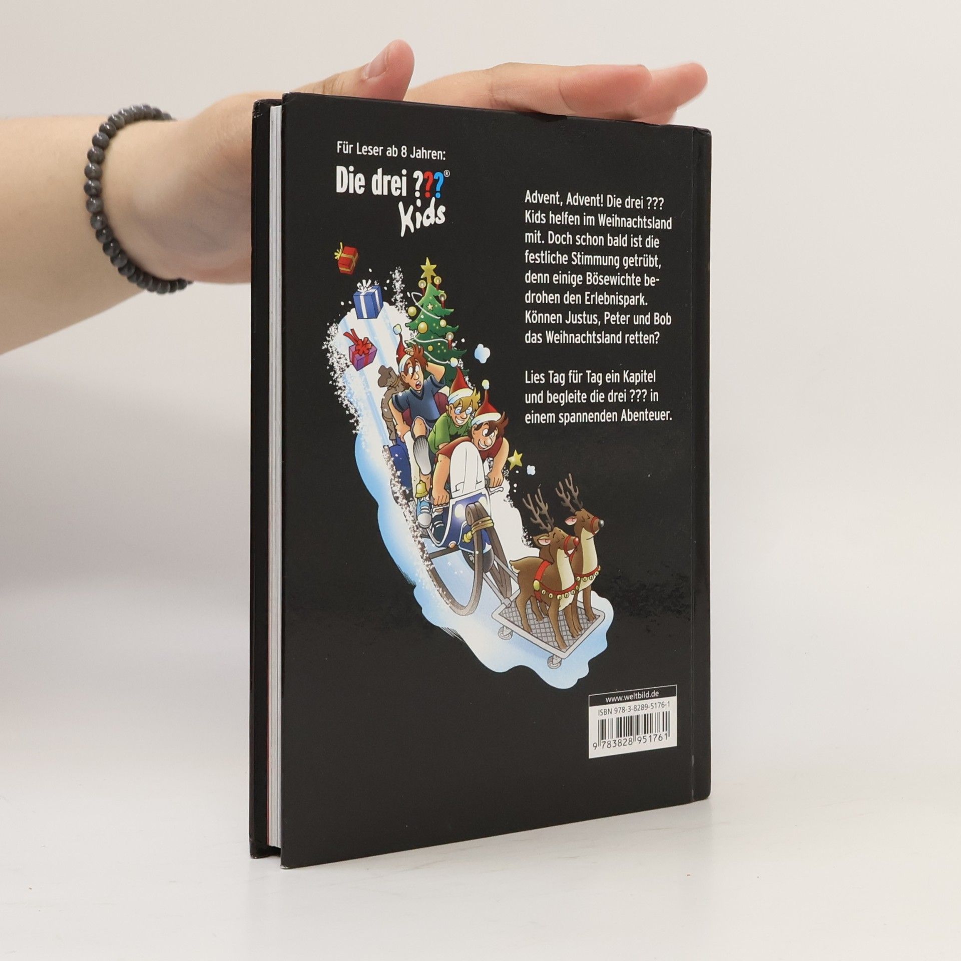 Ulf Blanck Der Adventskalender - 24 Tage im Weihnachtsland