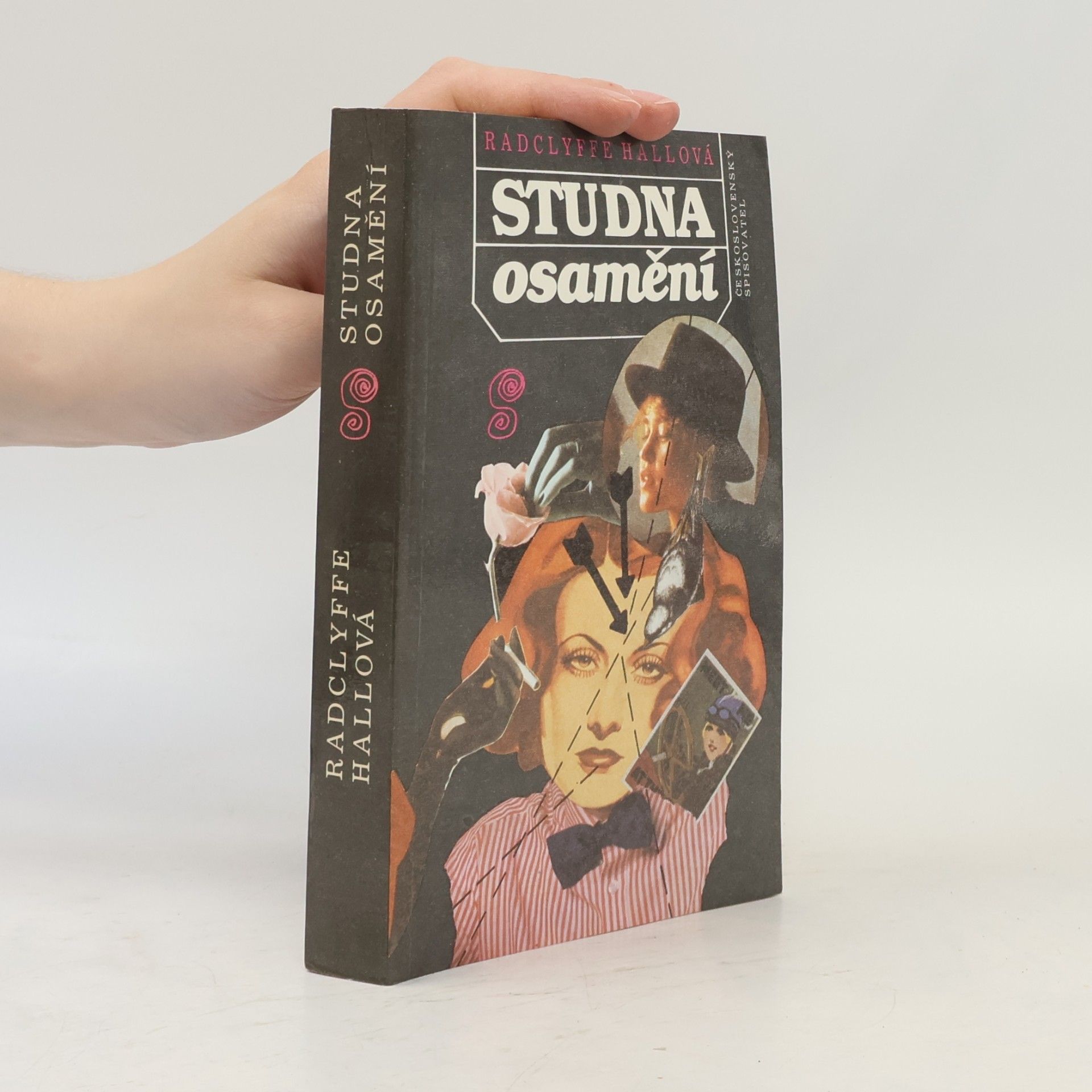 Radclyffe Hall Studna osamění