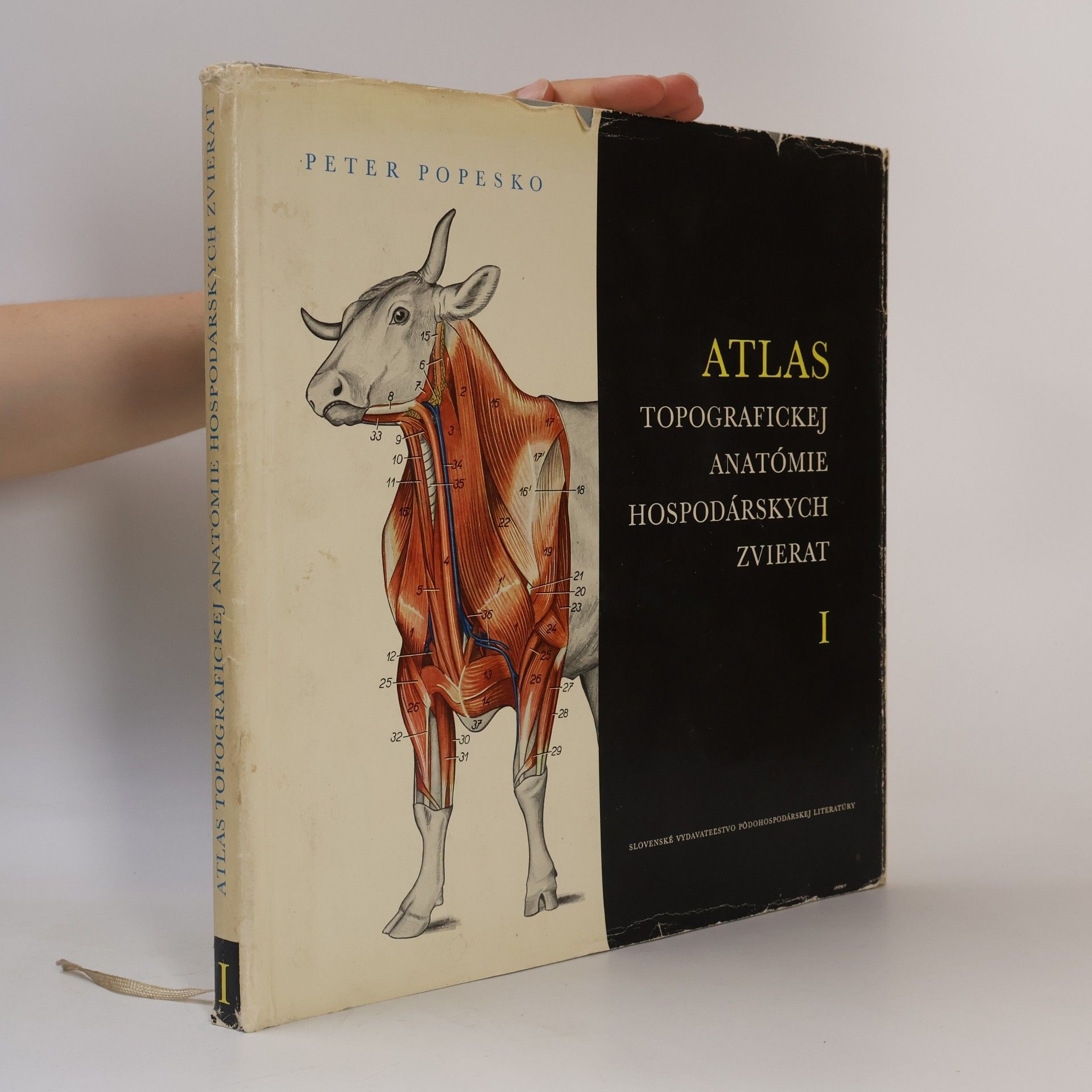 Peter Popesko Atlas topografickej anatómie hospodárskych zvierat II