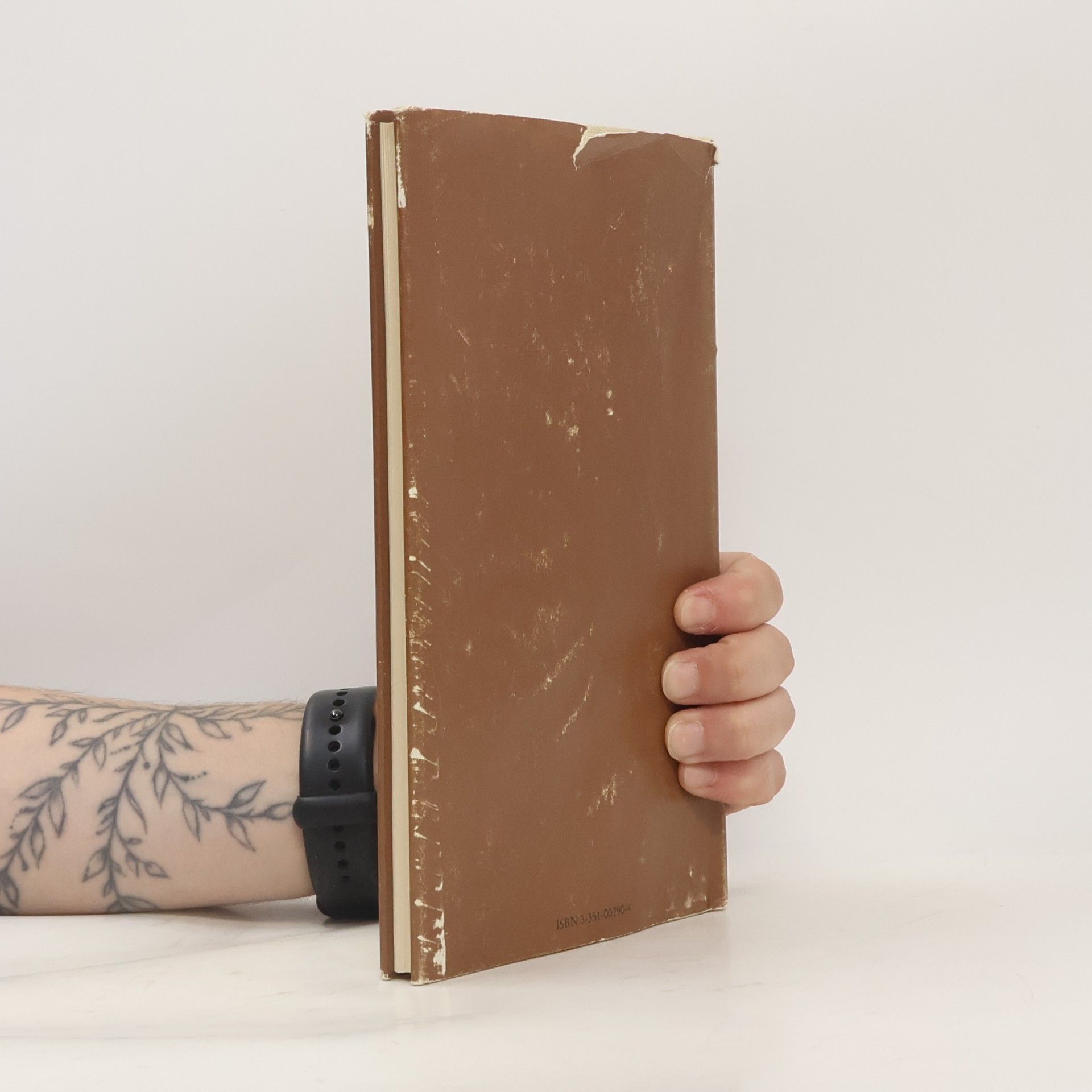 Eva Strittmatter Poesie und andre Nebendinge