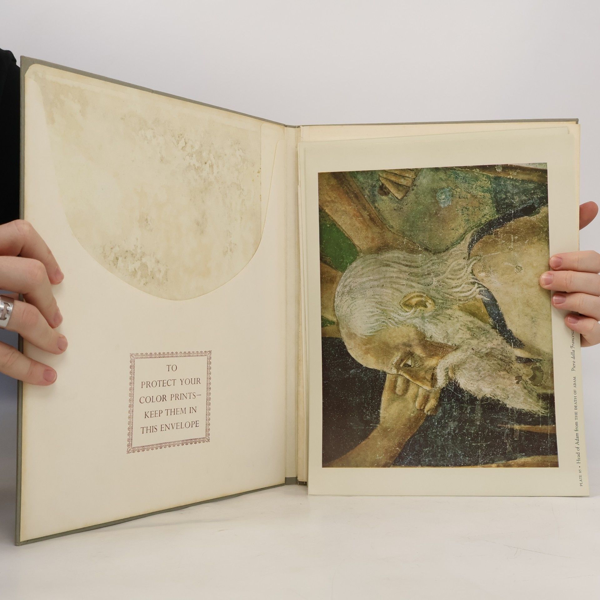 John Canaday Metropolitan Seminars in Art 8