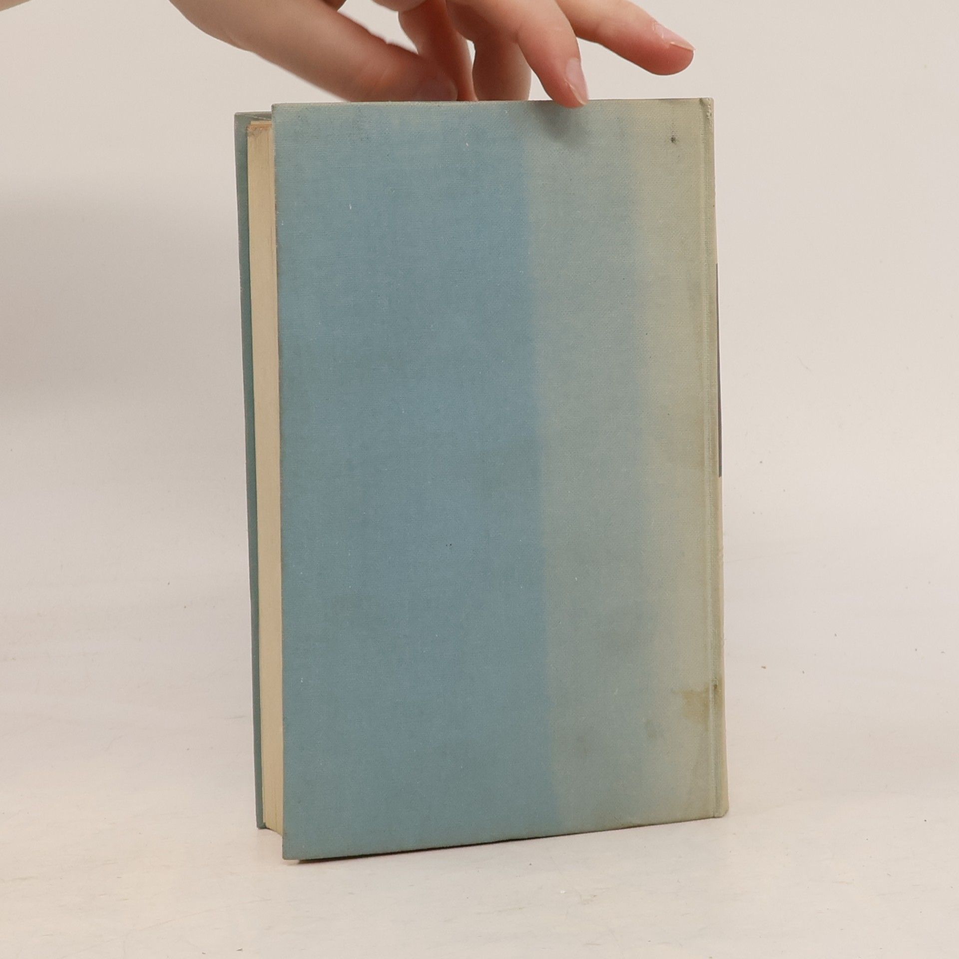 Johannes Jahn Wörterbuch der Kunst