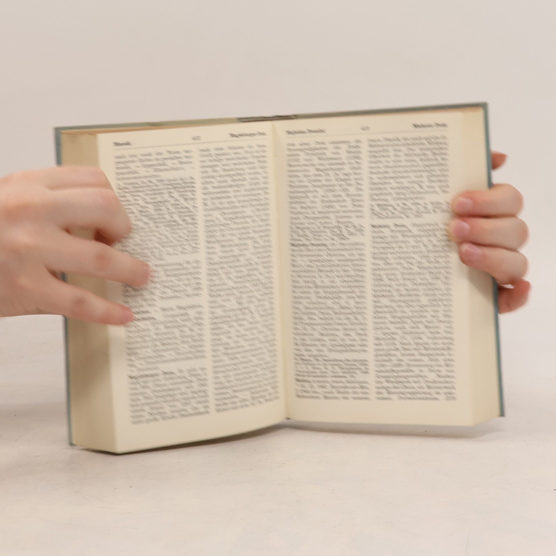 Johannes Jahn Wörterbuch der Kunst