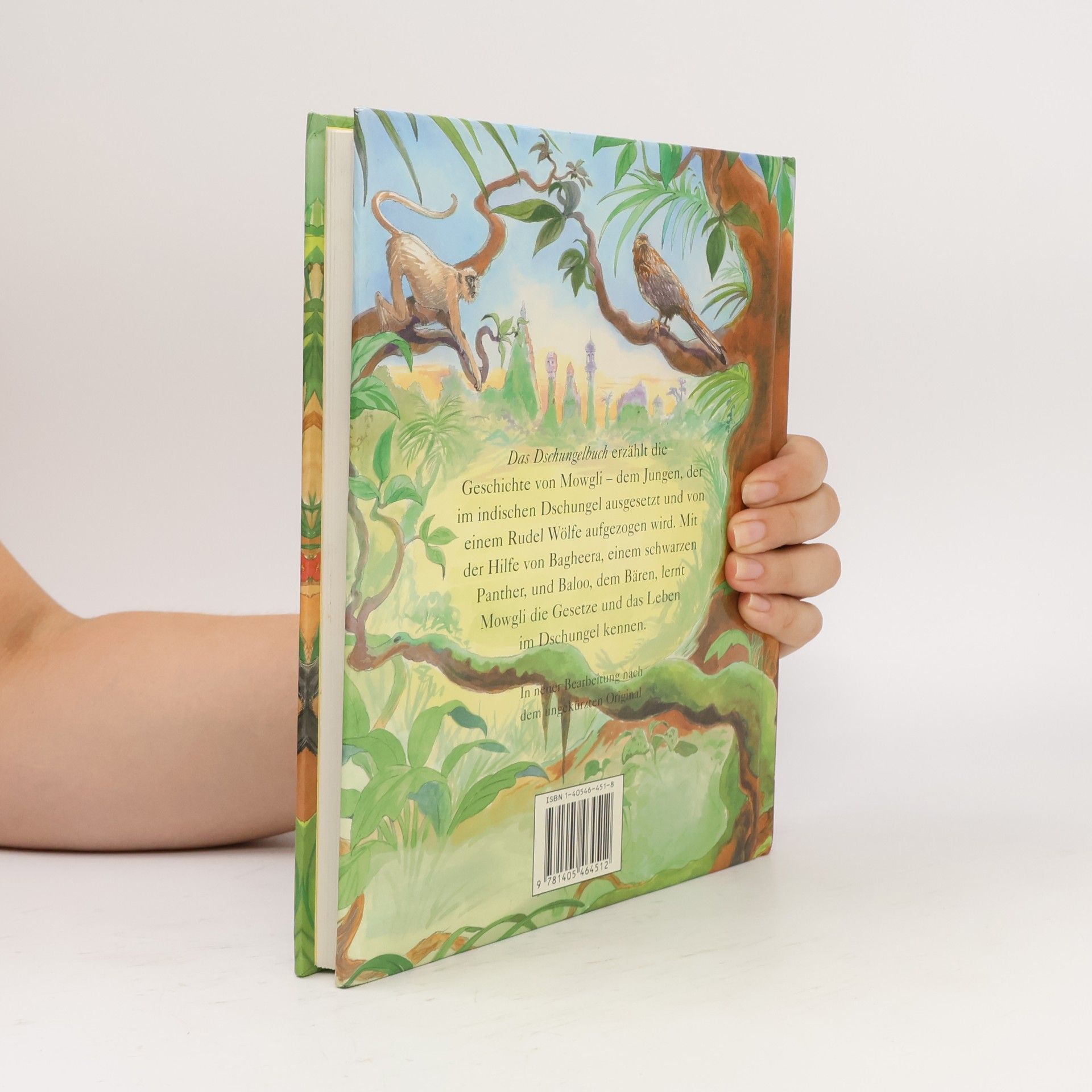 Rudyard Kipling Das Dschungelbuch