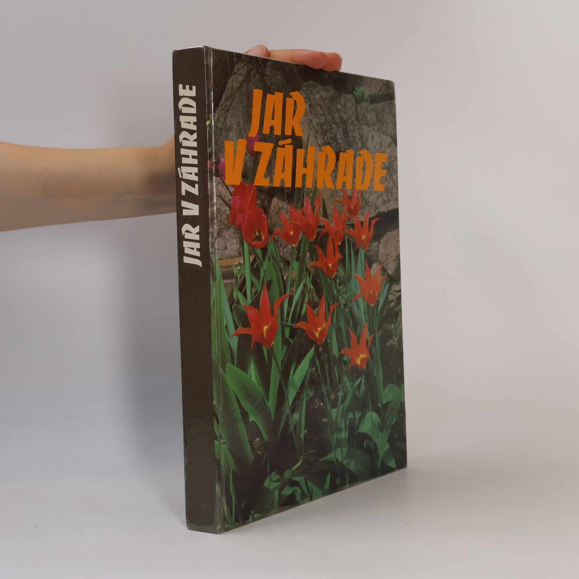 Kolektiv autorů Jar v záhrade