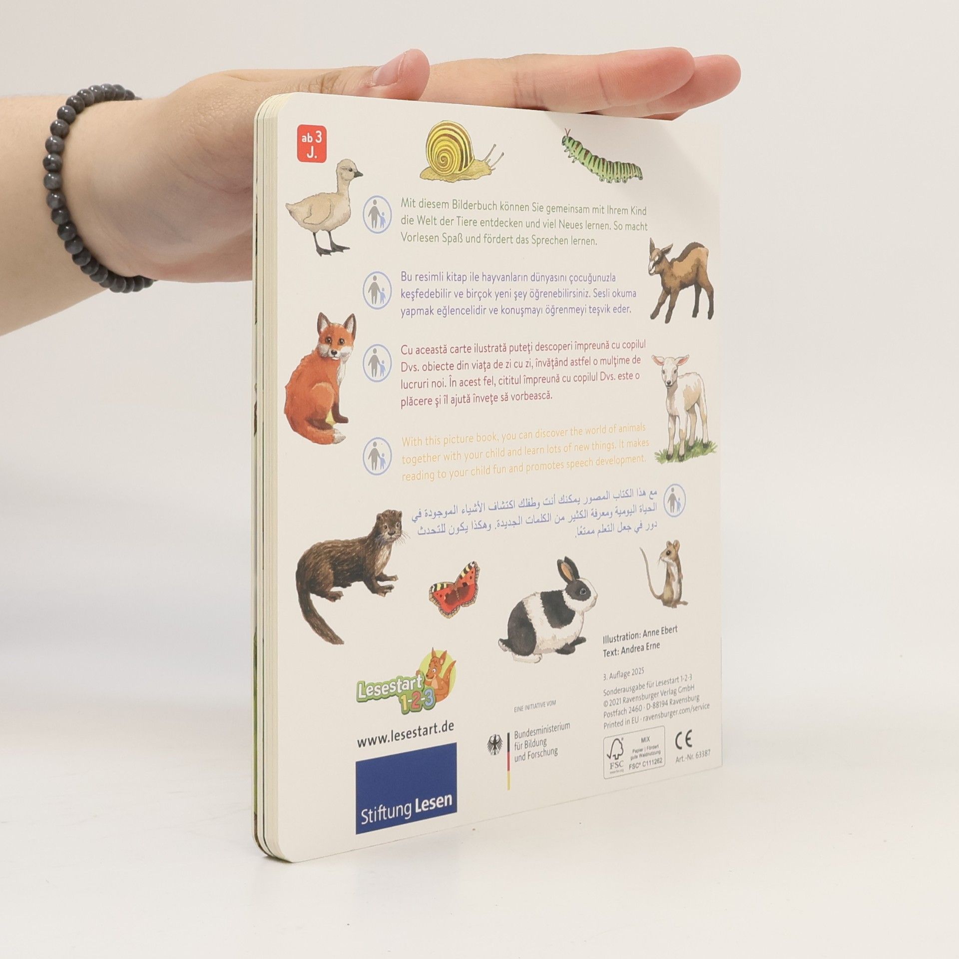 Andrea Erne Unsere Tiere und ihre Kinder