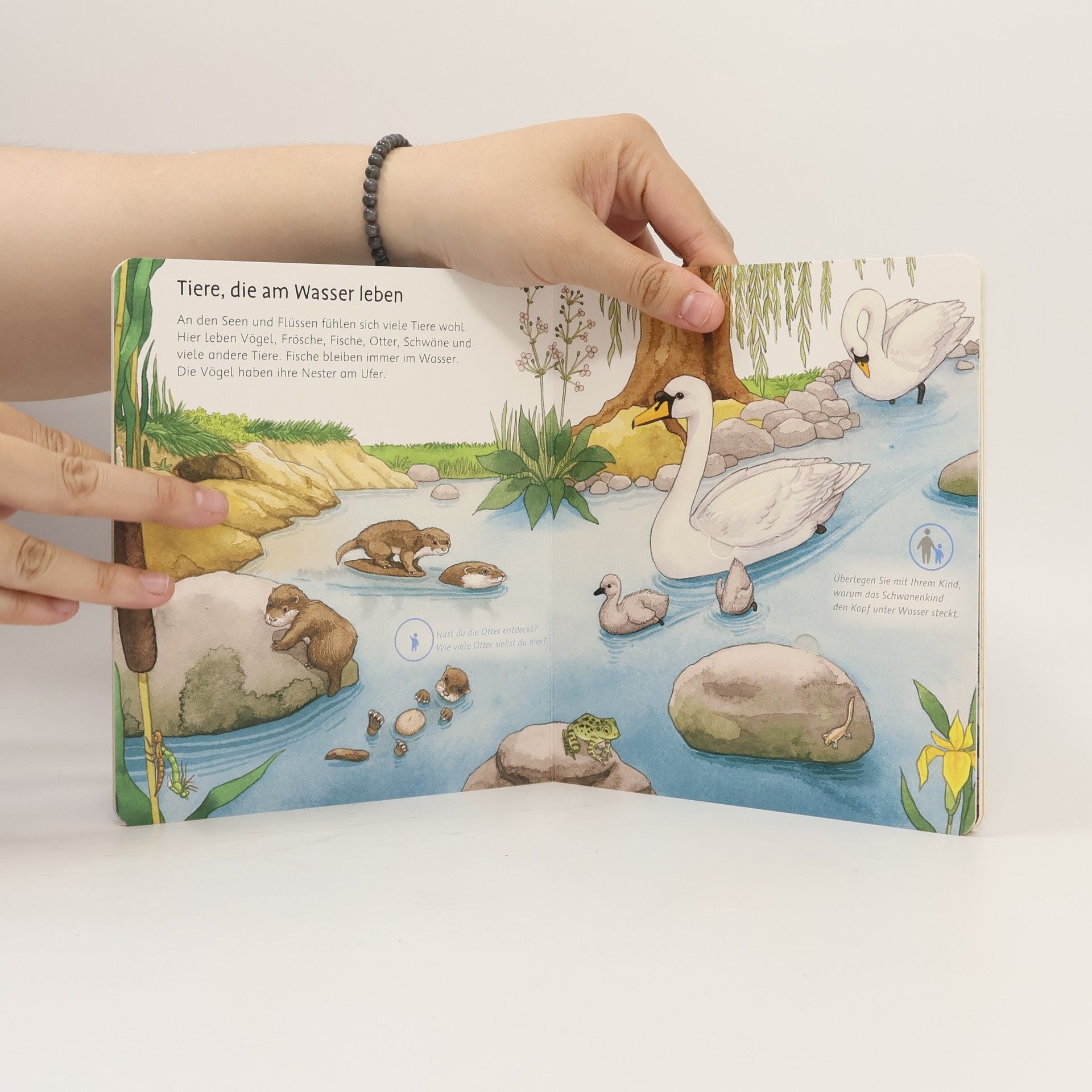 Andrea Erne Unsere Tiere und ihre Kinder