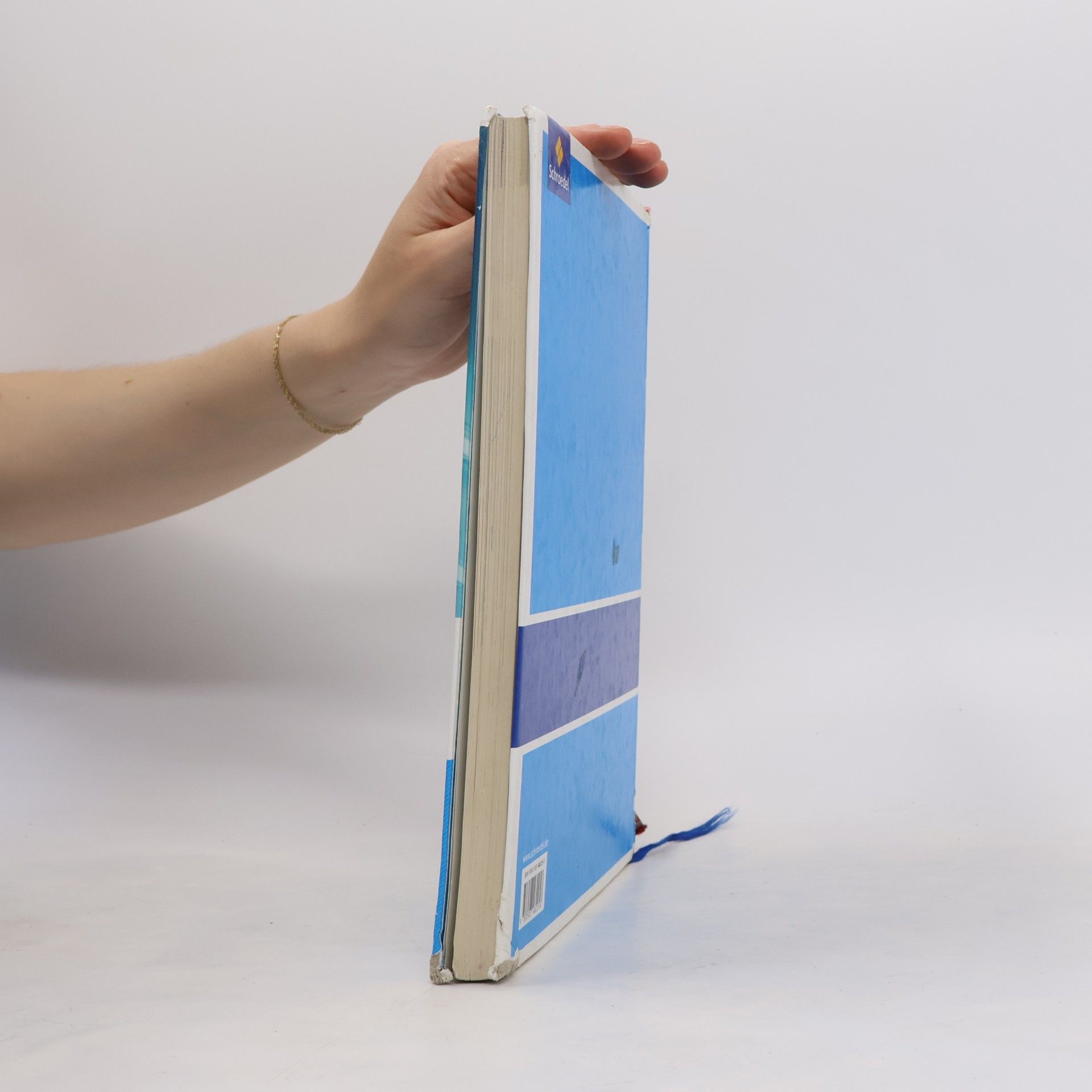 Irmgard Ehls Wortstark. SprachLeseBuch 5 - differenzierende allgemeine Ausgabe