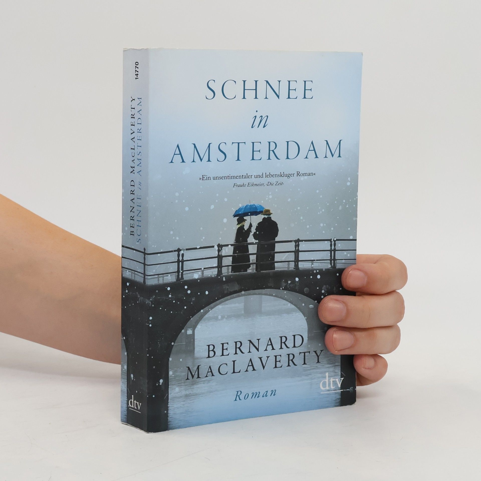 Bernard MacLaverty Schnee in Amsterdam