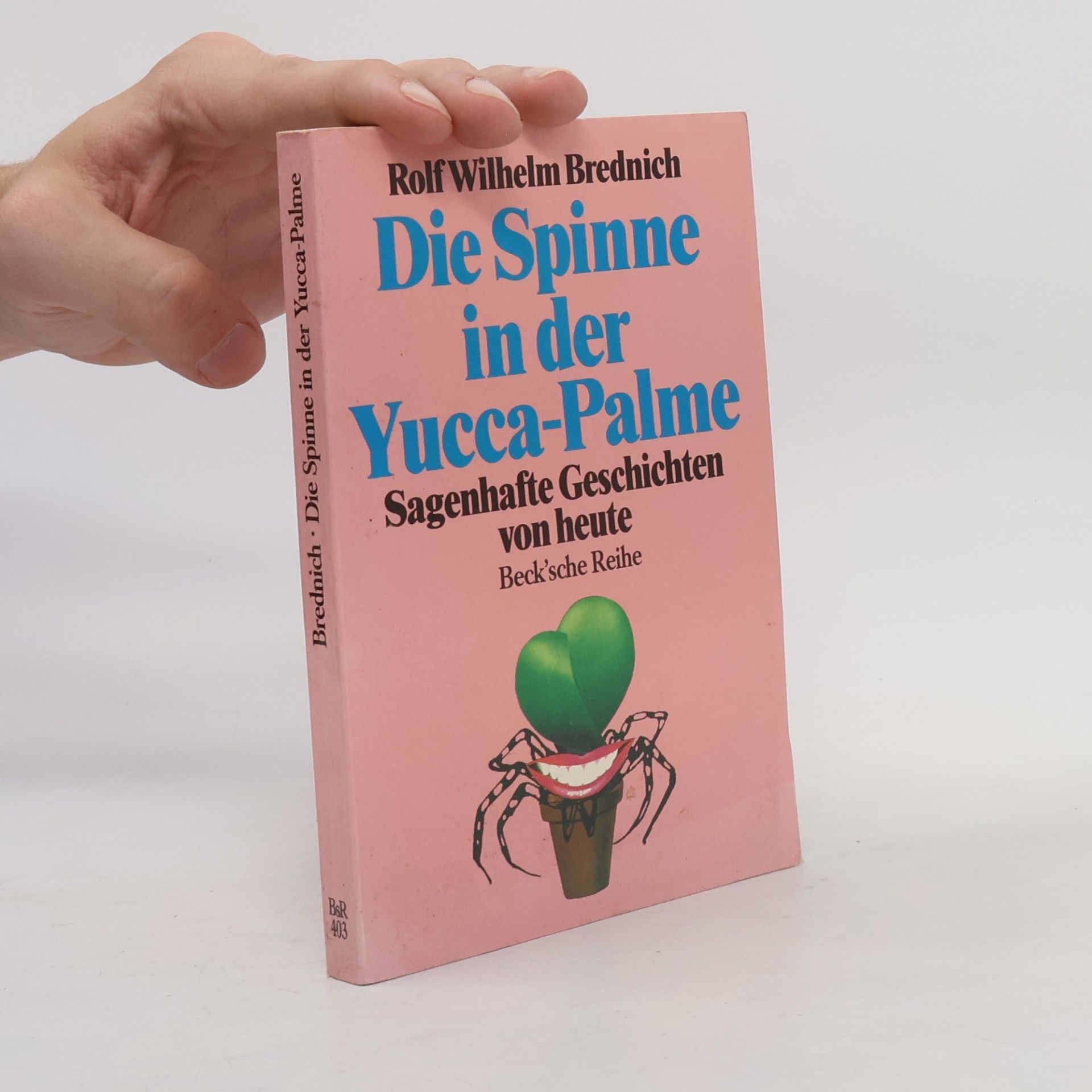 Rolf Wilhelm Brednich Die Spinne in der Yucca-Palme