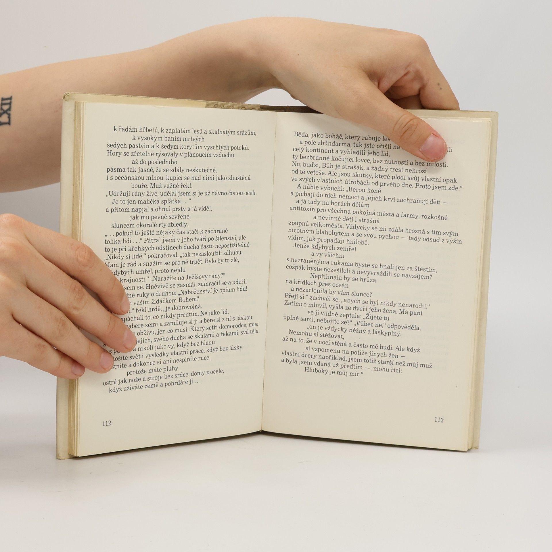 Robinson Jeffers Maják v bouři