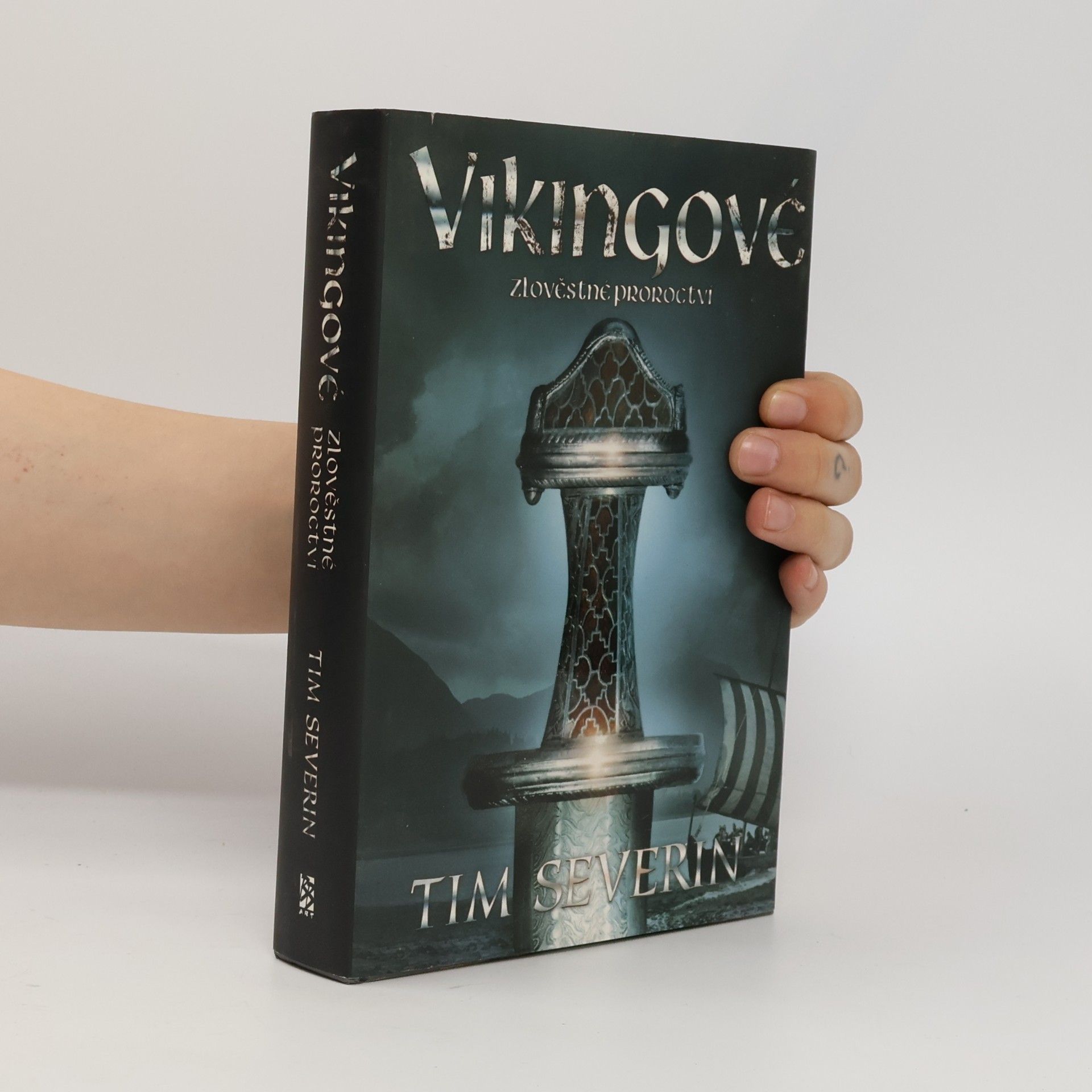 Tim Severin Vikingové 2