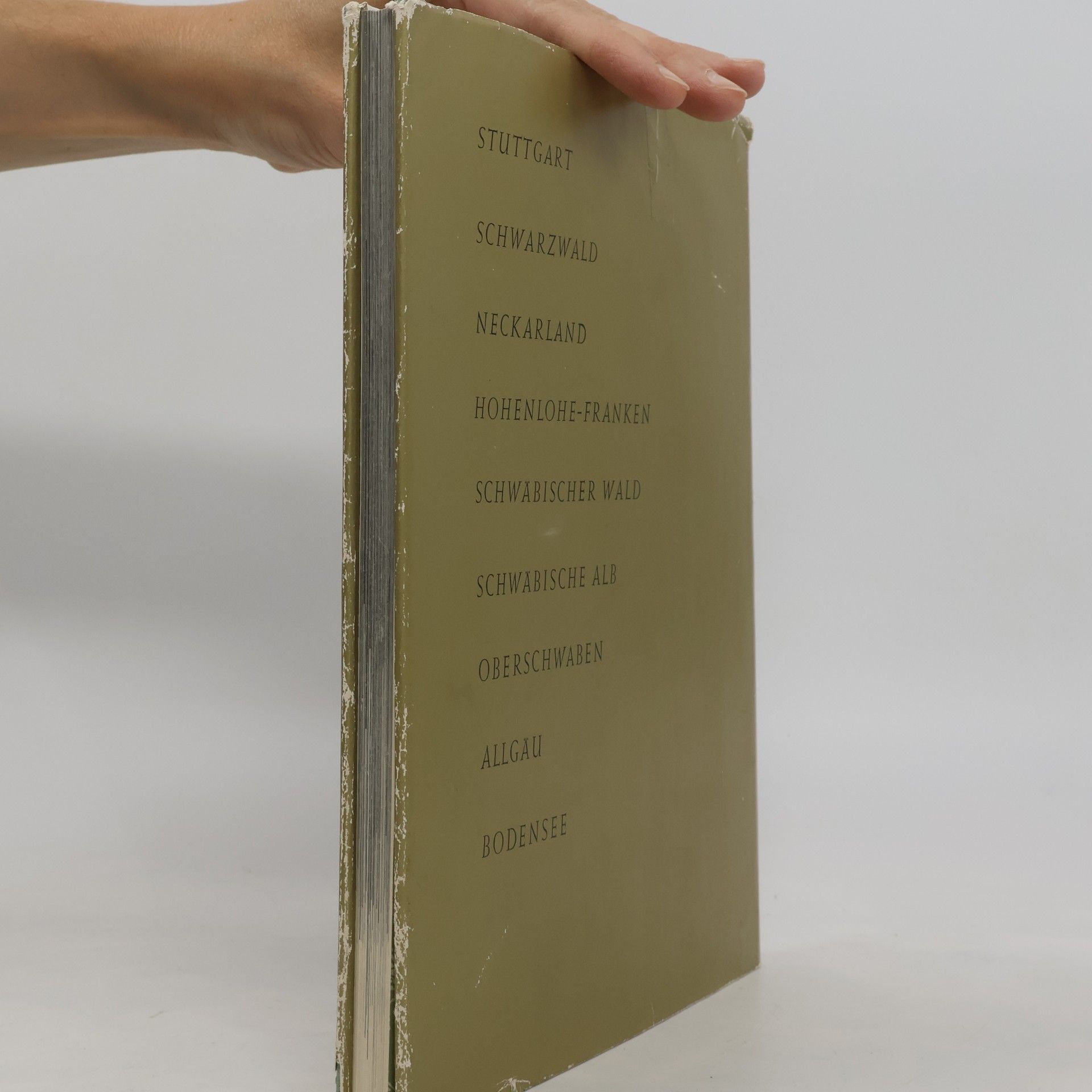 Autorenkollektiv Schönes Schwabenland