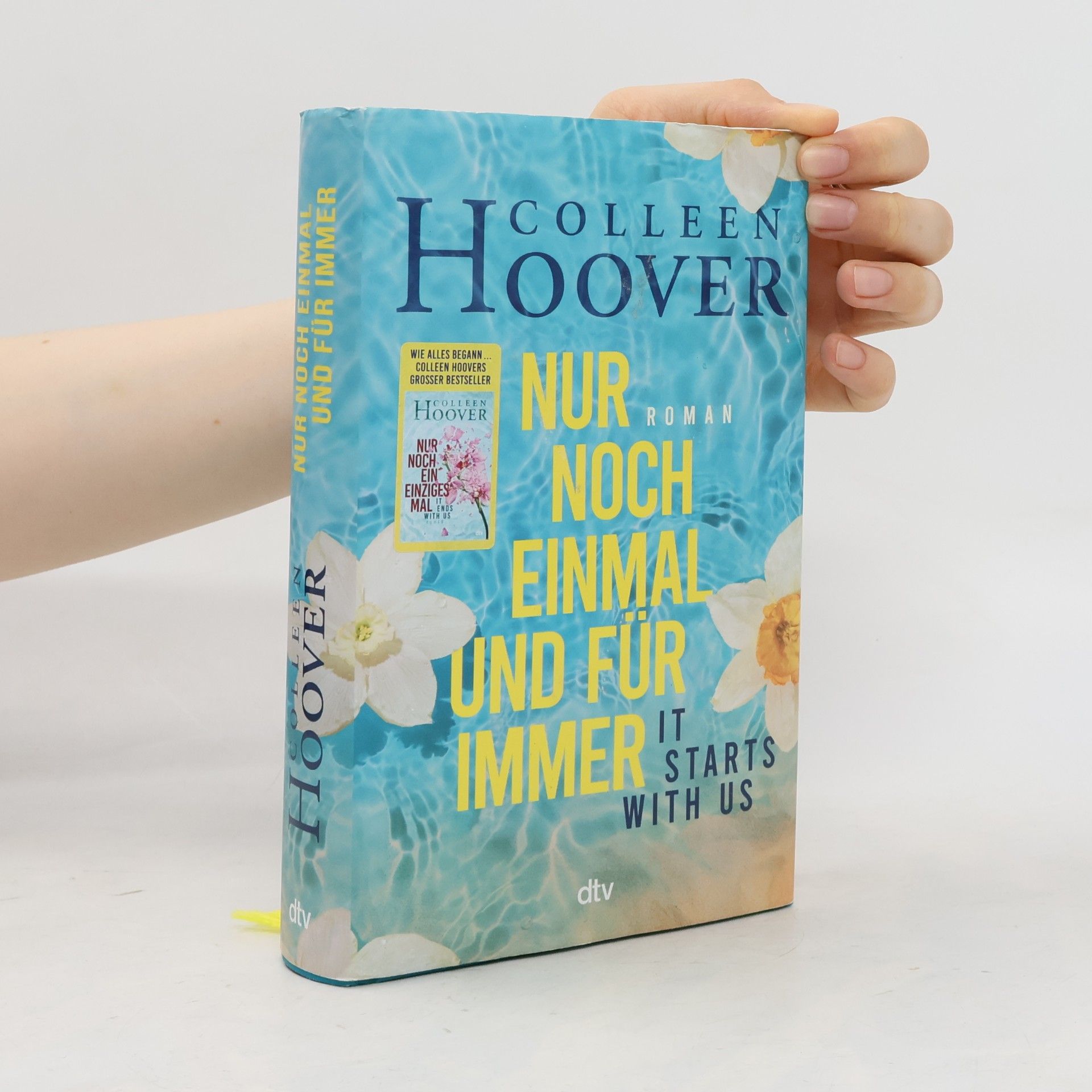 Colleen Hoover Nur noch einmal und für immer
