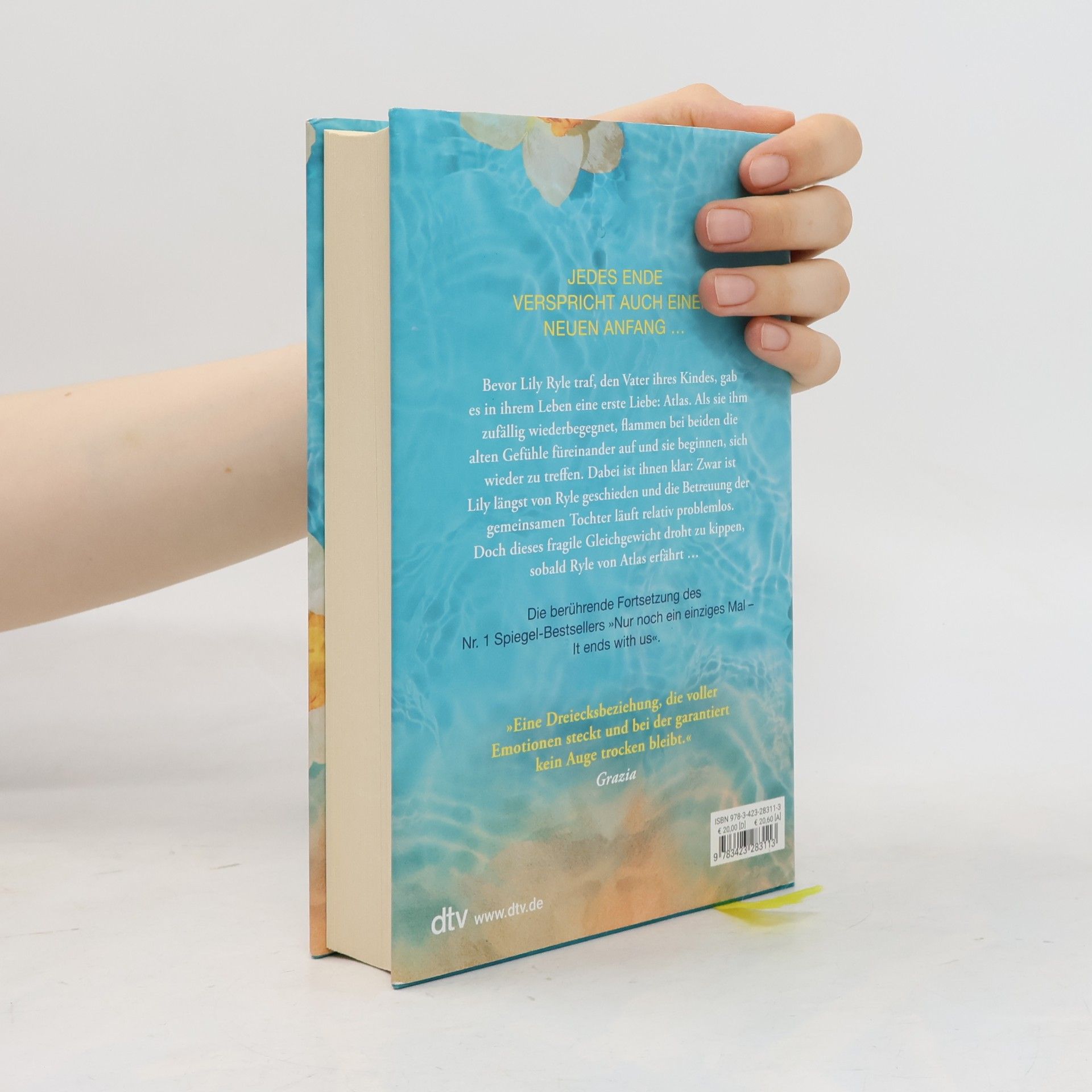 Colleen Hoover Nur noch einmal und für immer