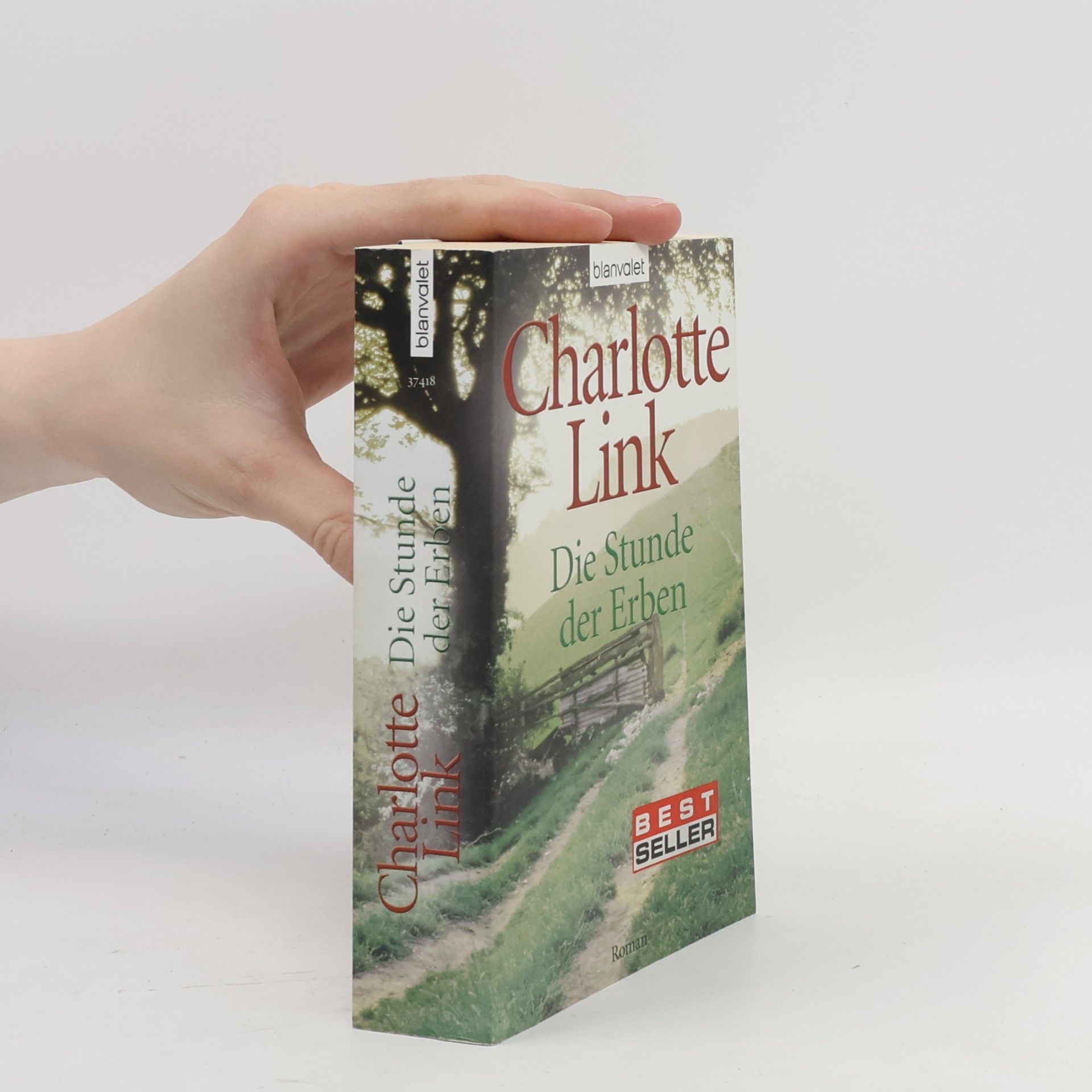 Charlotte Link Die Stunde der Erben