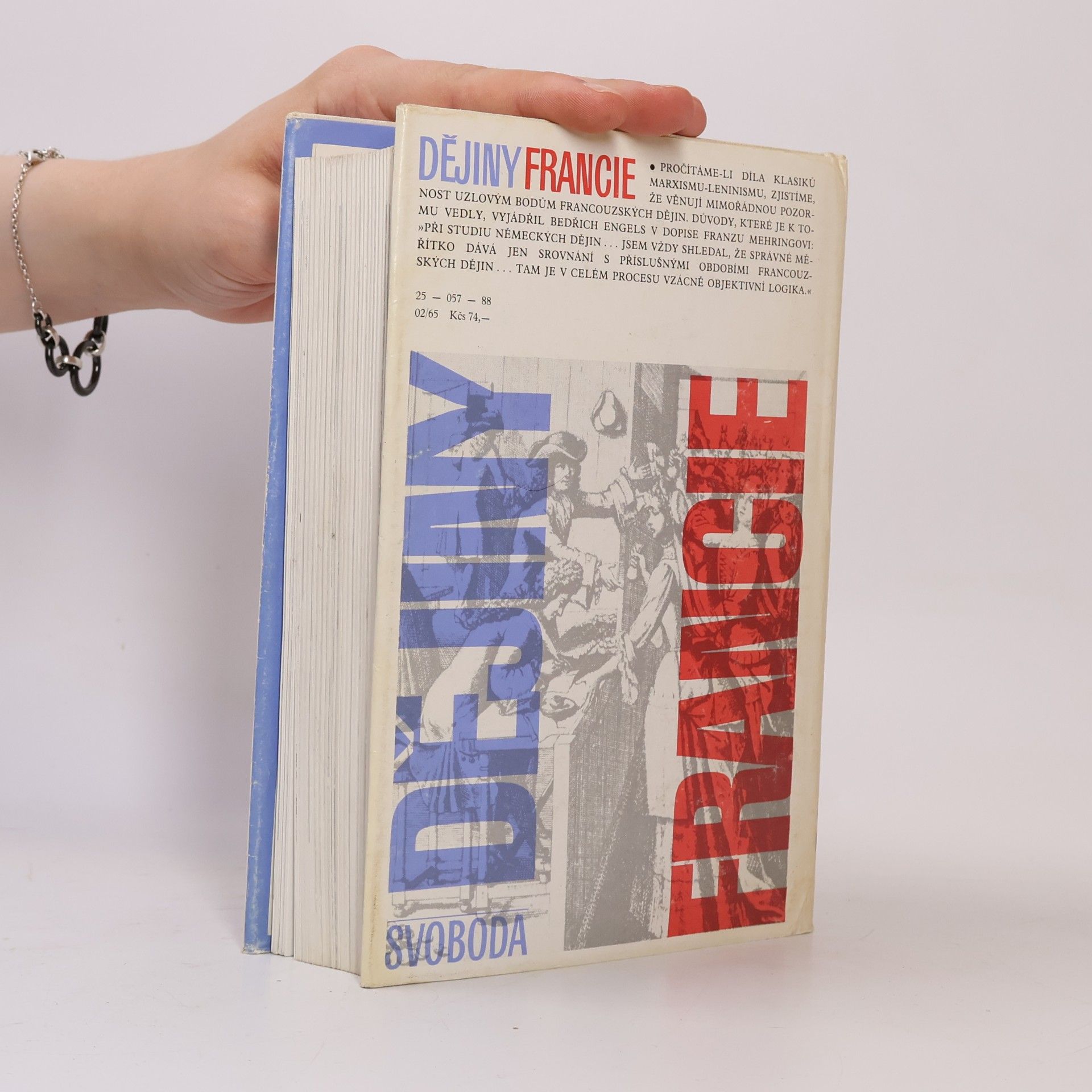 Autorenkollektiv Dějiny Francie