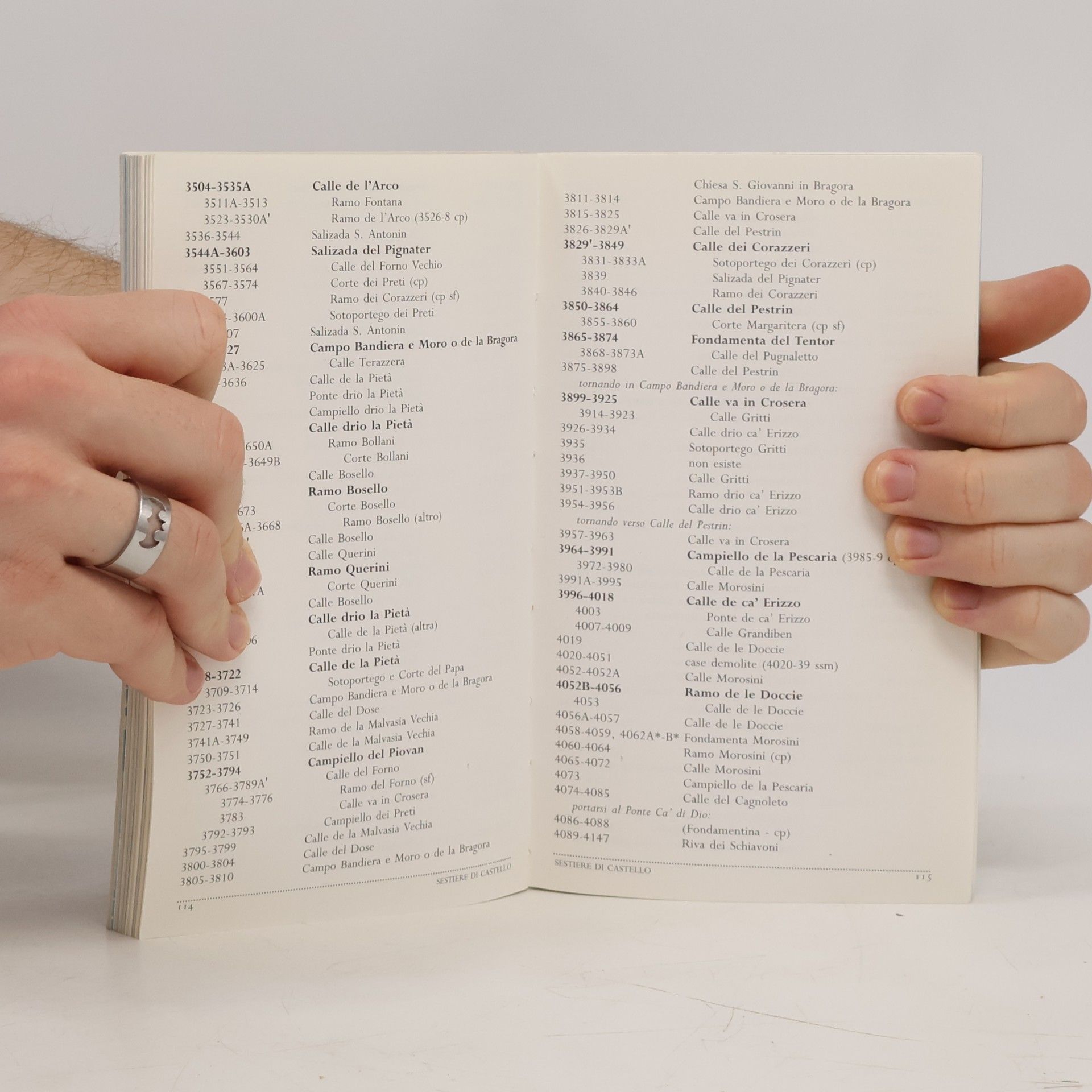 Autorenkollektiv Indicatore Anagrafico di Venezia