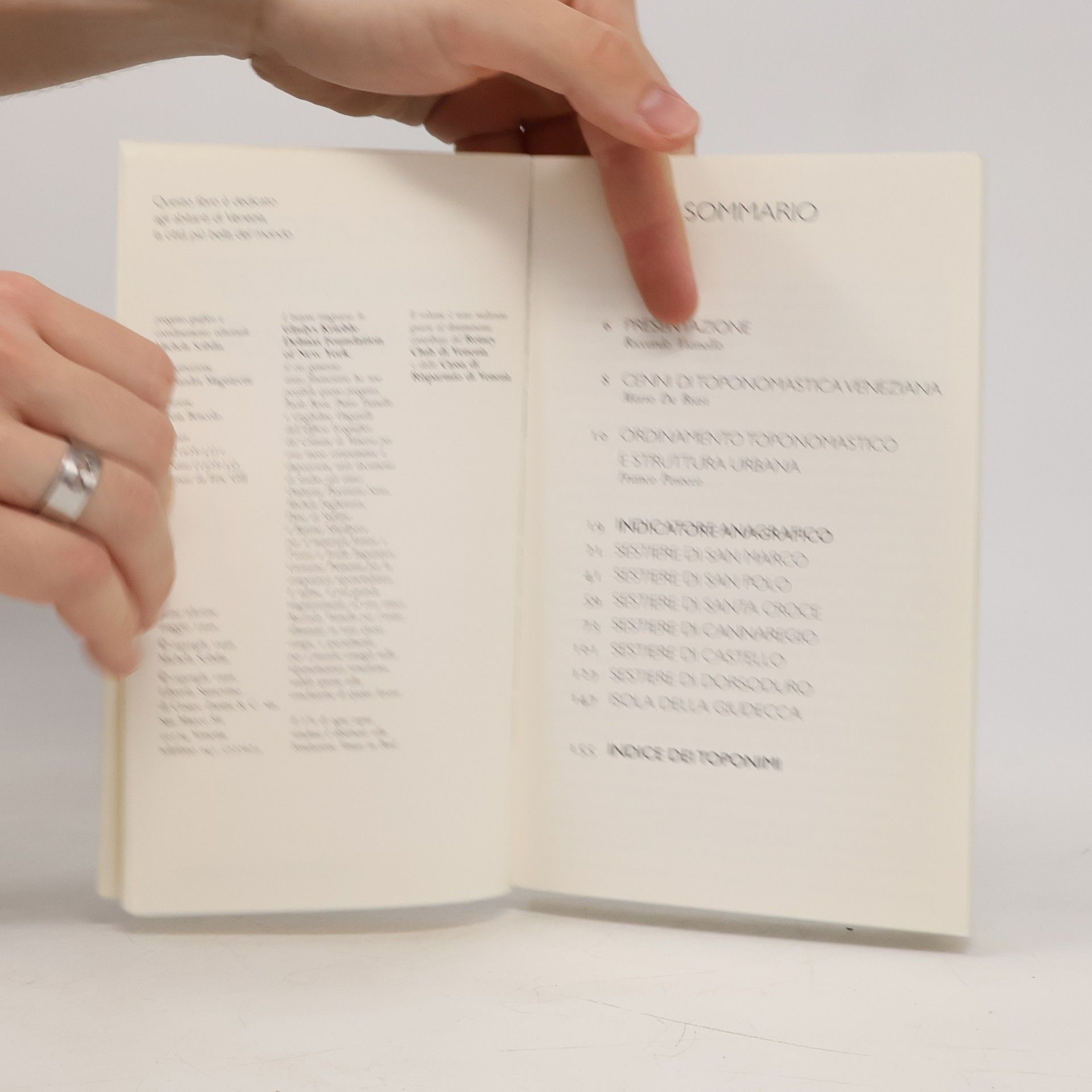 Autorenkollektiv Indicatore Anagrafico di Venezia