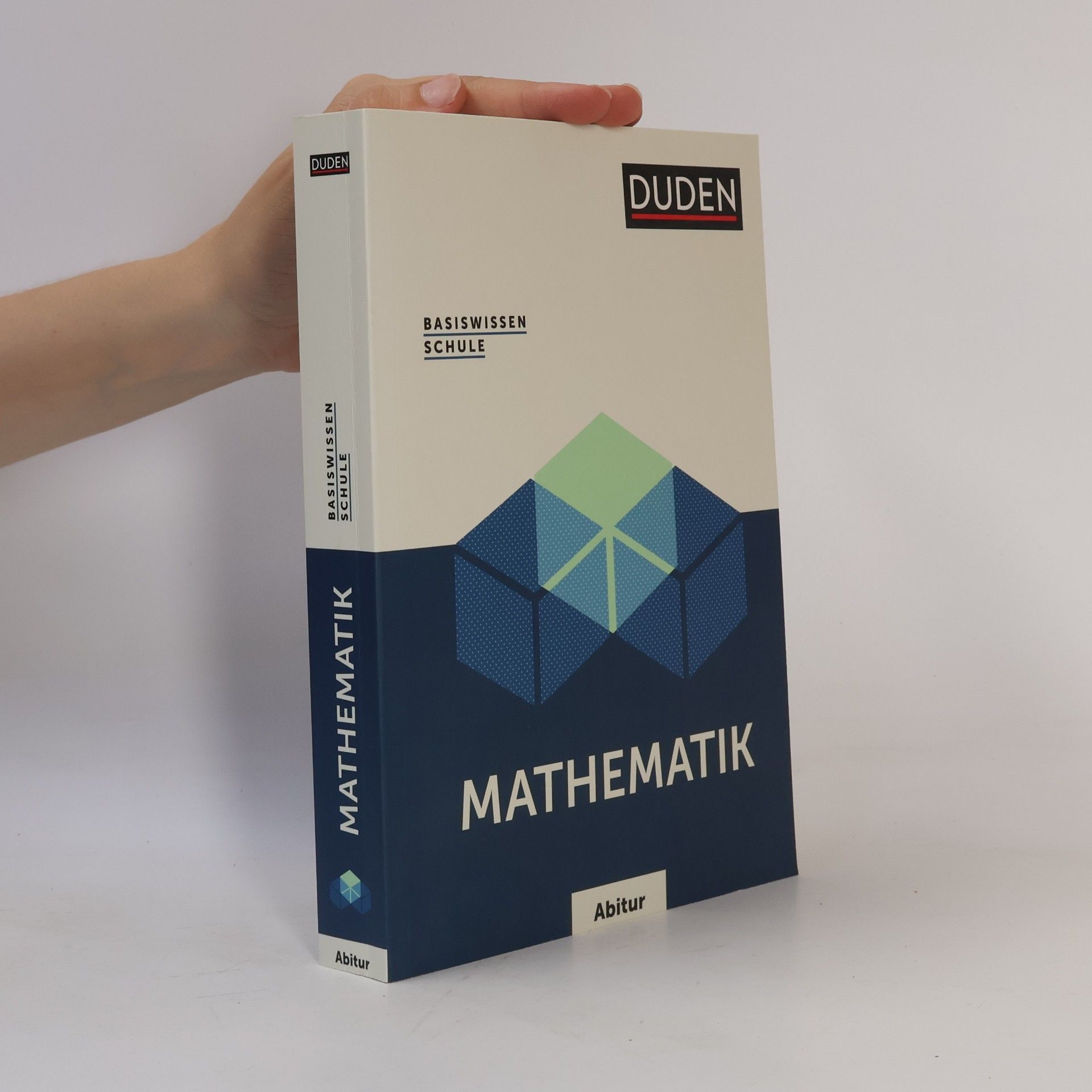 Karl Heinz Weber Basiswissen Schule - Mathematik Abitur