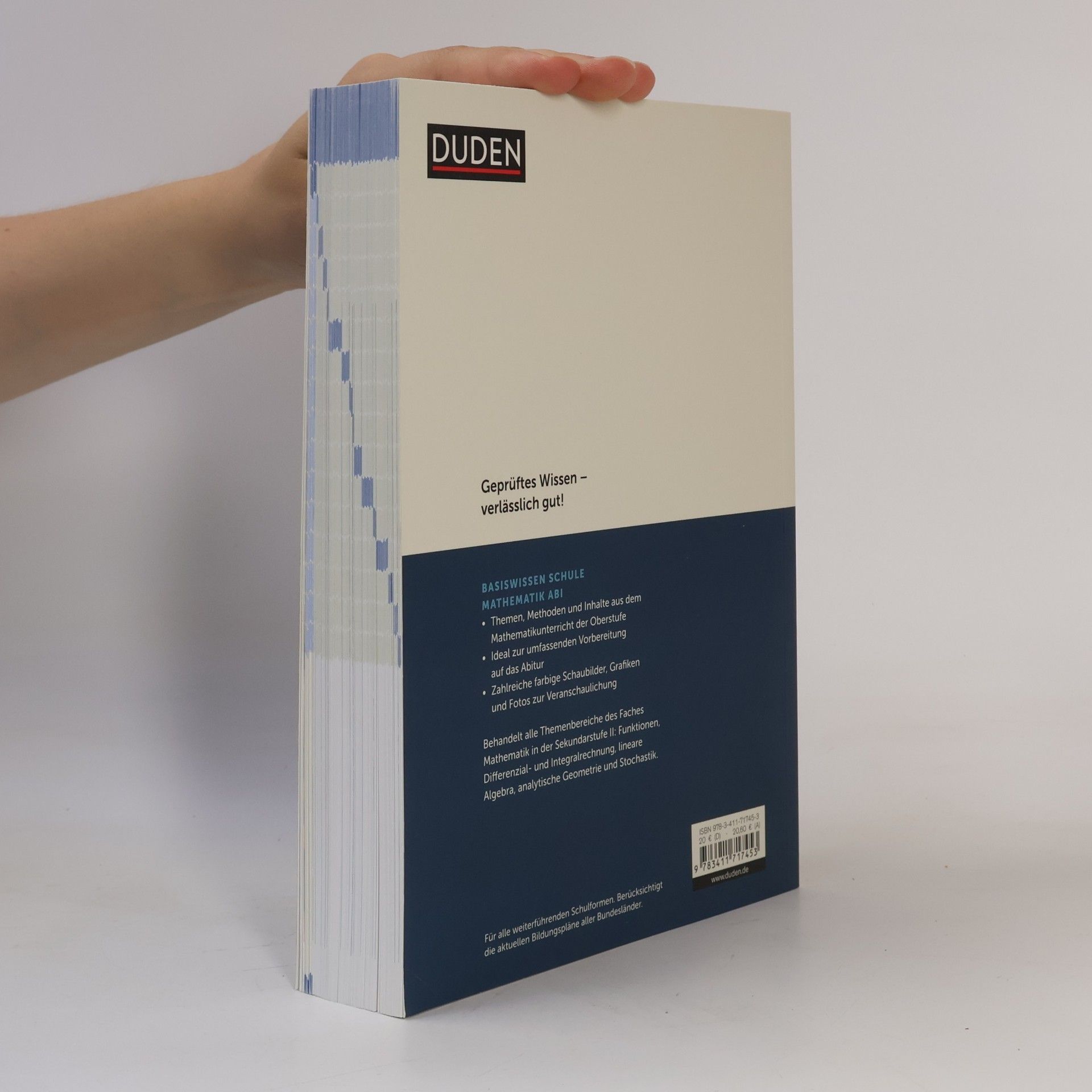 Karl Heinz Weber Basiswissen Schule - Mathematik Abitur