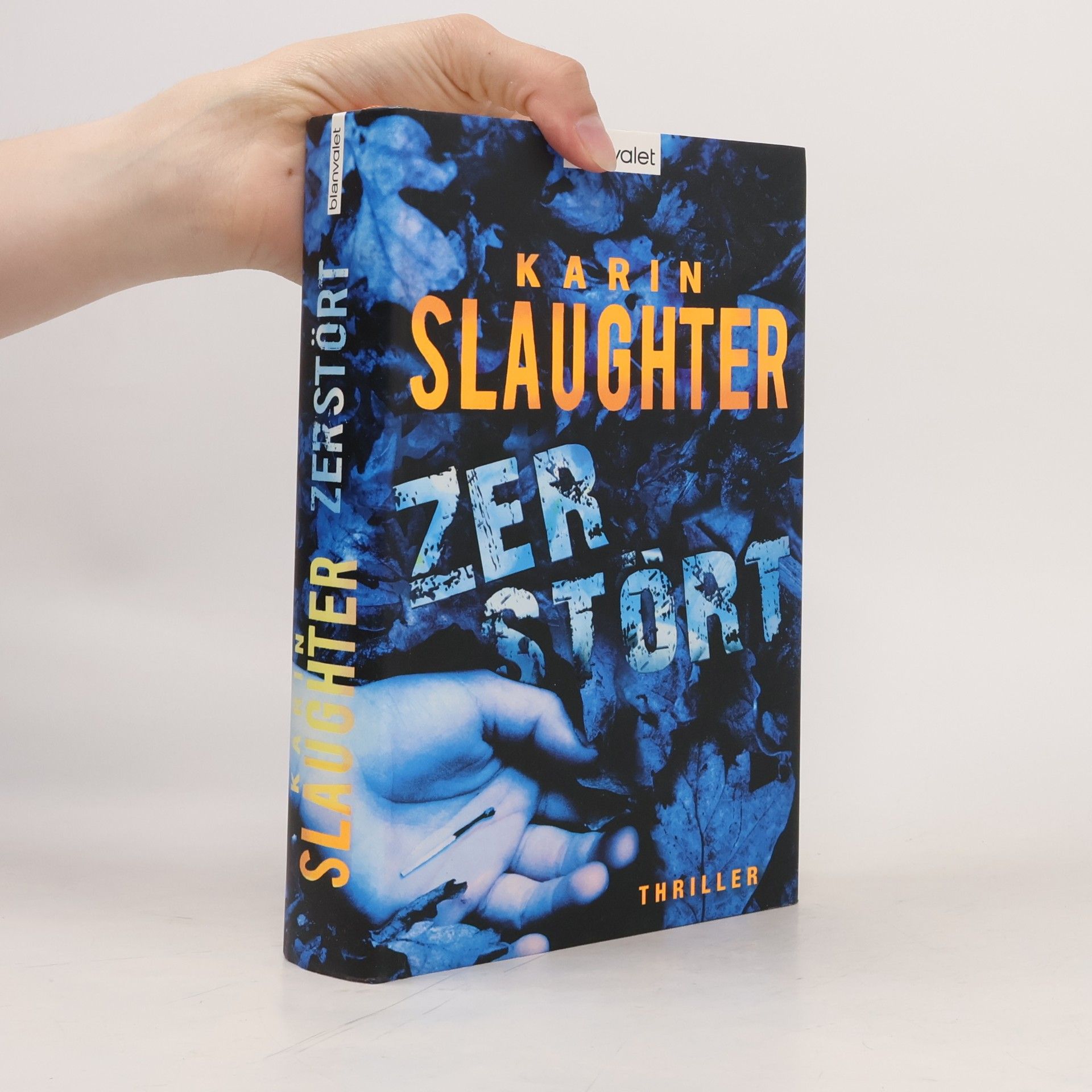 Karin Slaughter Zerstört