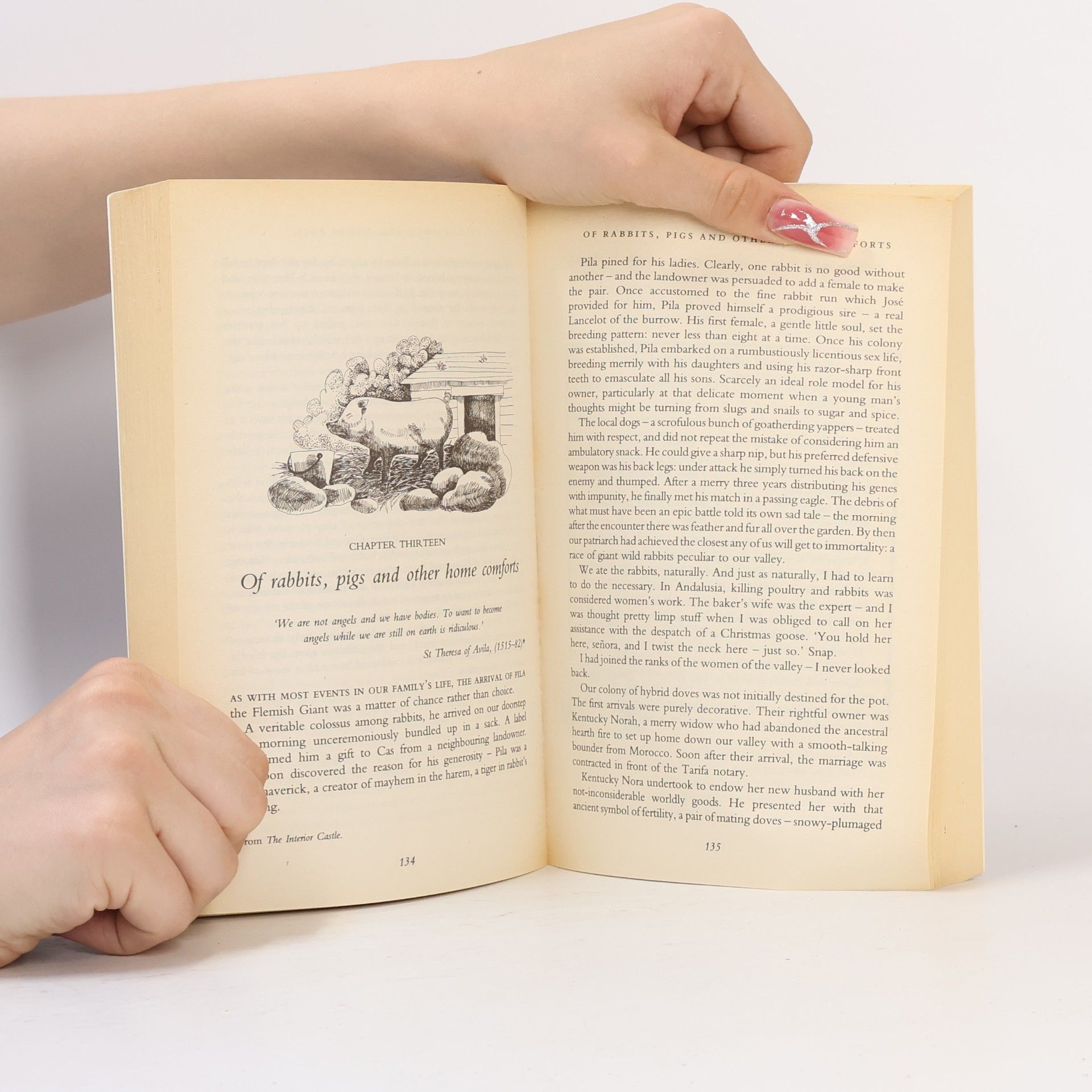 Elisabeth Luard Corgi Book: Family Life