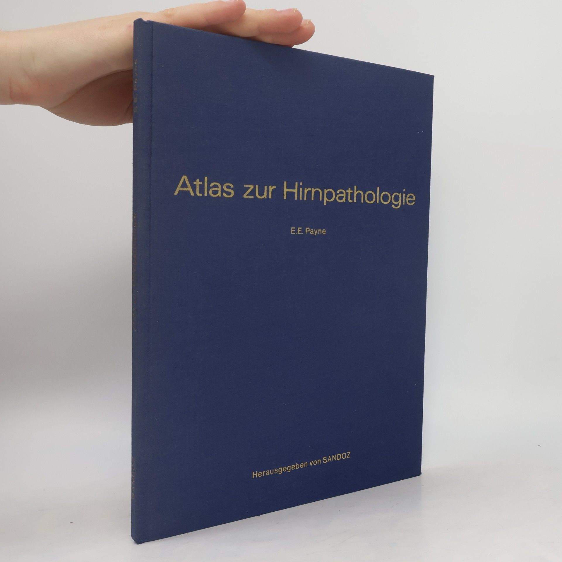 E. E. Payne Atlas zur Hirnpathologie