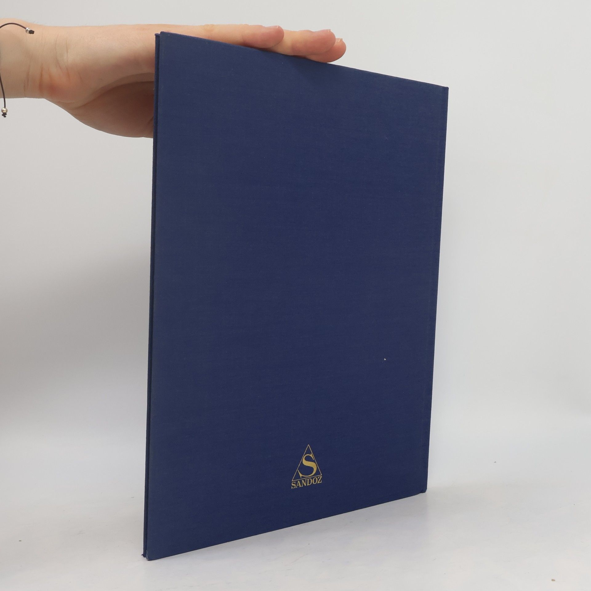 E. E. Payne Atlas zur Hirnpathologie