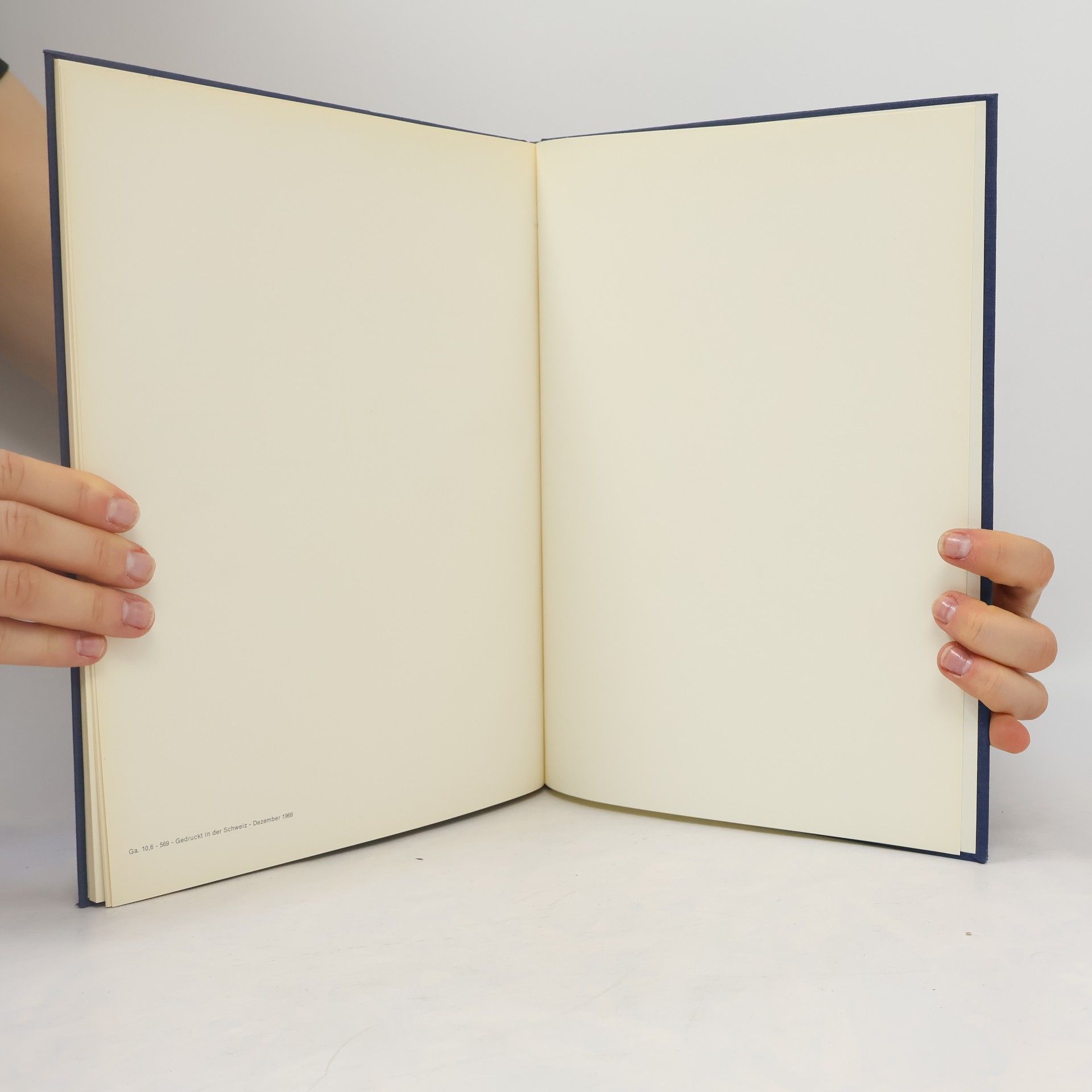 E. E. Payne Atlas zur Hirnpathologie