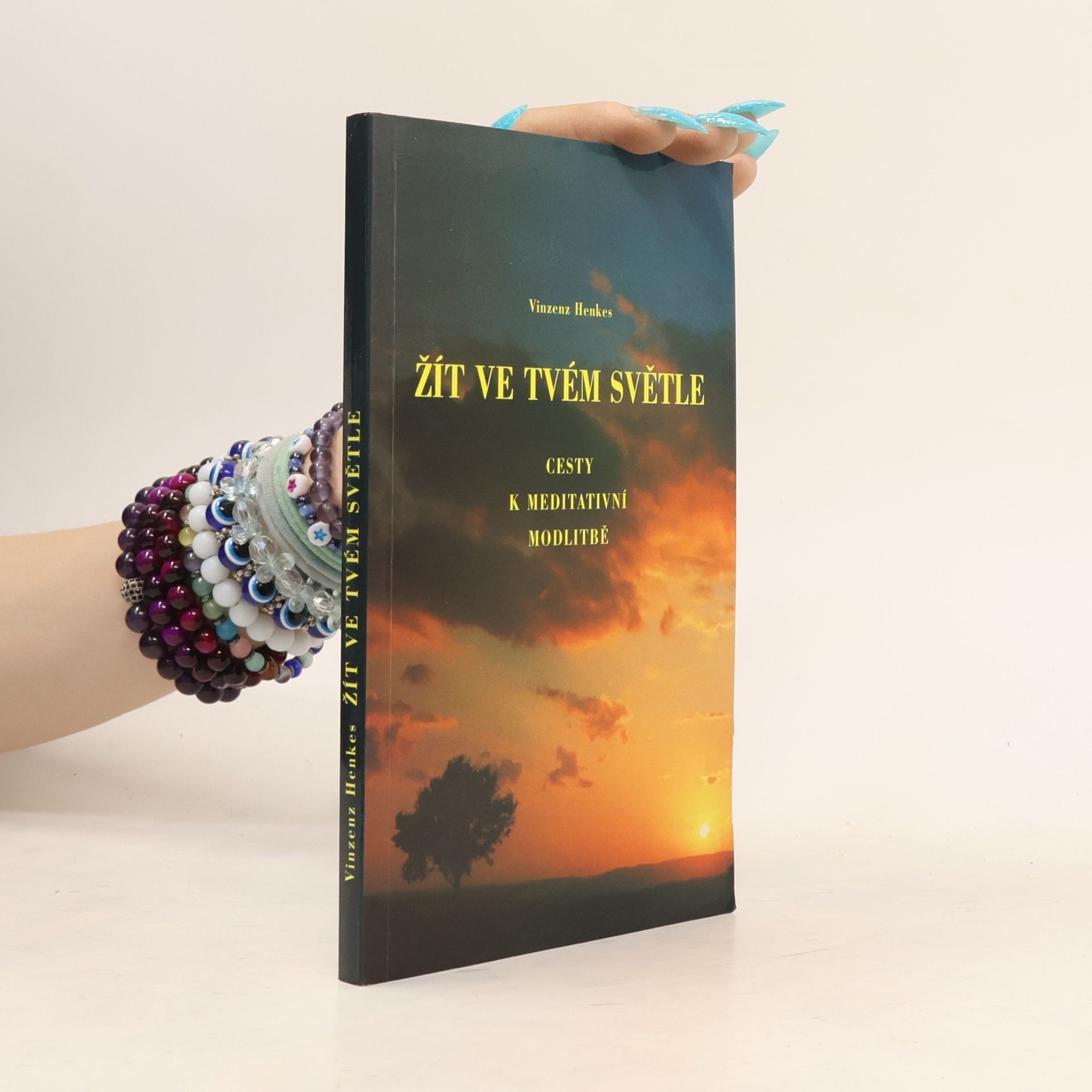 Vinzenz Henkes Žít ve tvém světle: cesty k meditativní modlitbě
