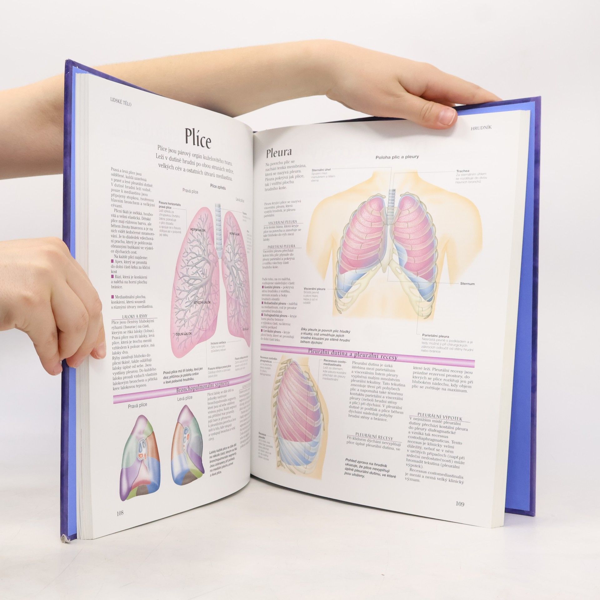 Peter H. Abrahams Lidské tělo : atlas anatomie člověka