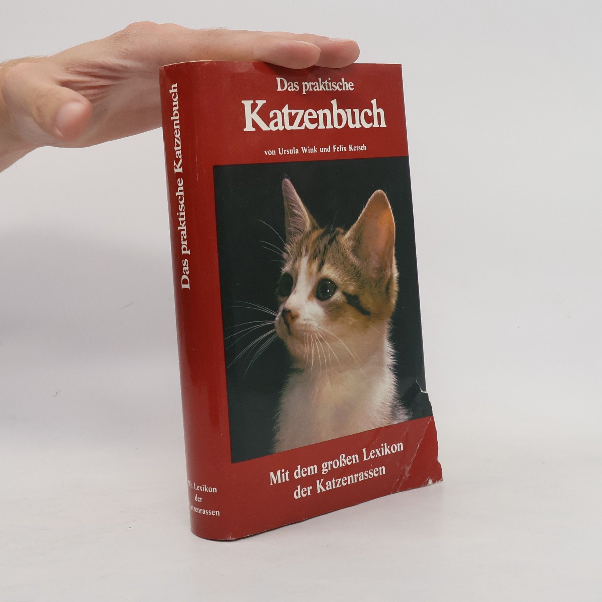 Ursula Wink Das praktische Katzenbuch