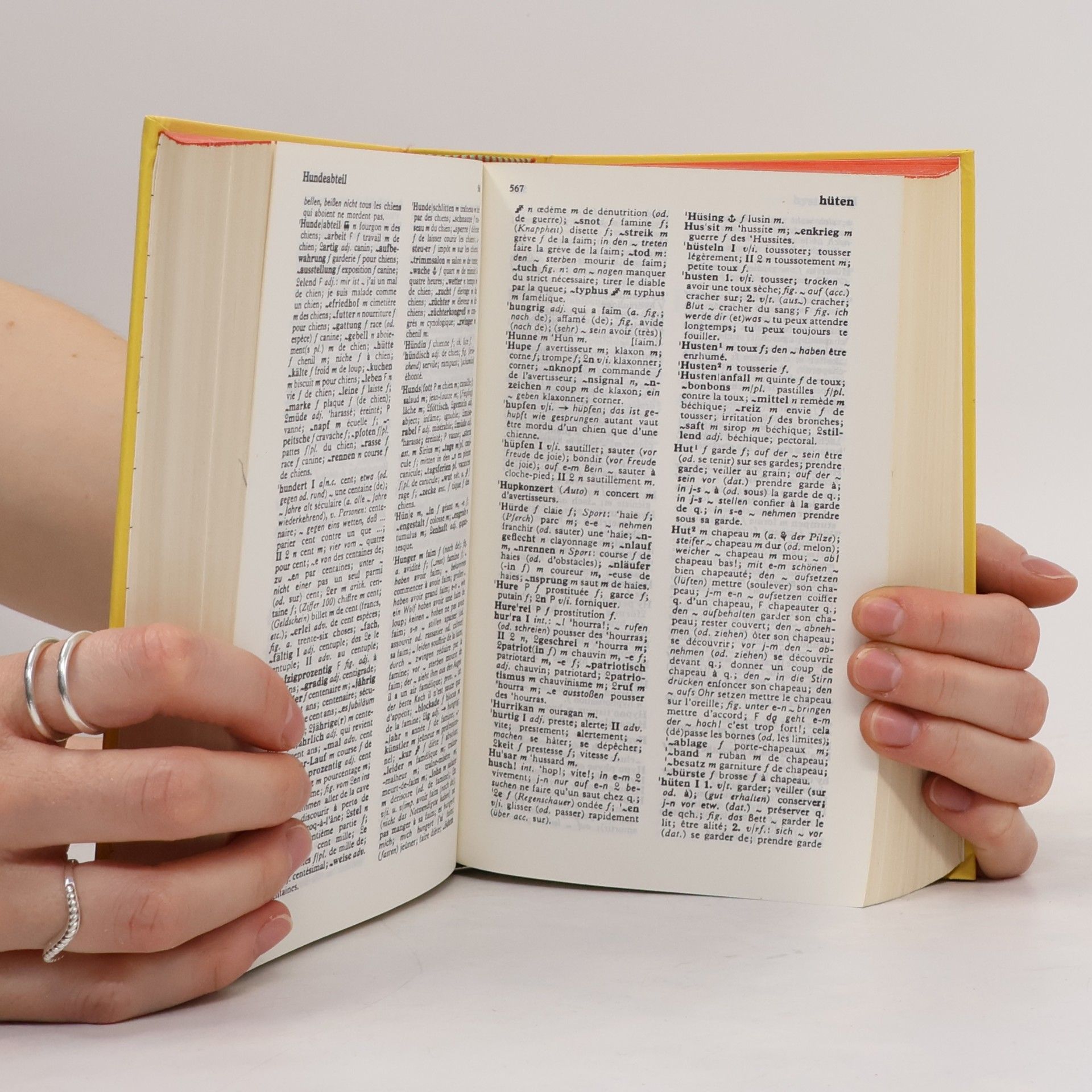 Kurt Wilhelm Langenscheidts grosses Schulwörterbuch