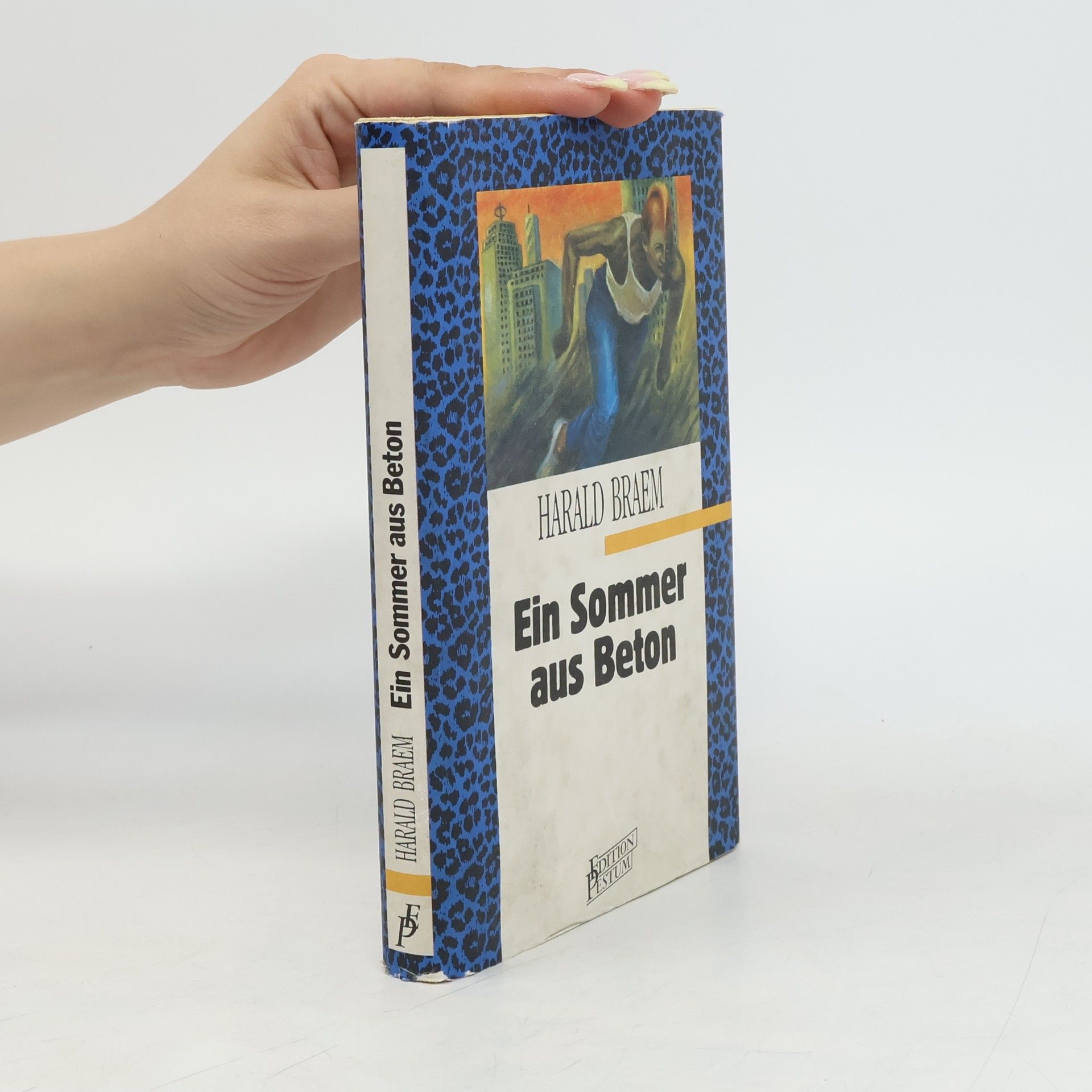Harald Braem Ein Sommer aus Beton