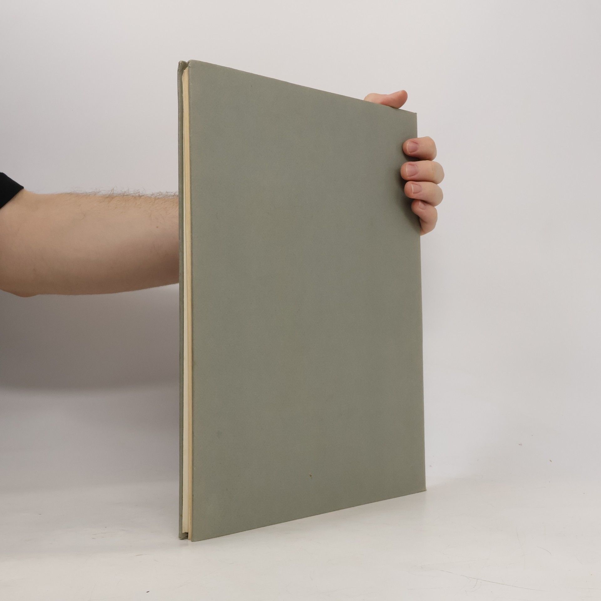 John Canaday Metropolitan Seminars in Art 5