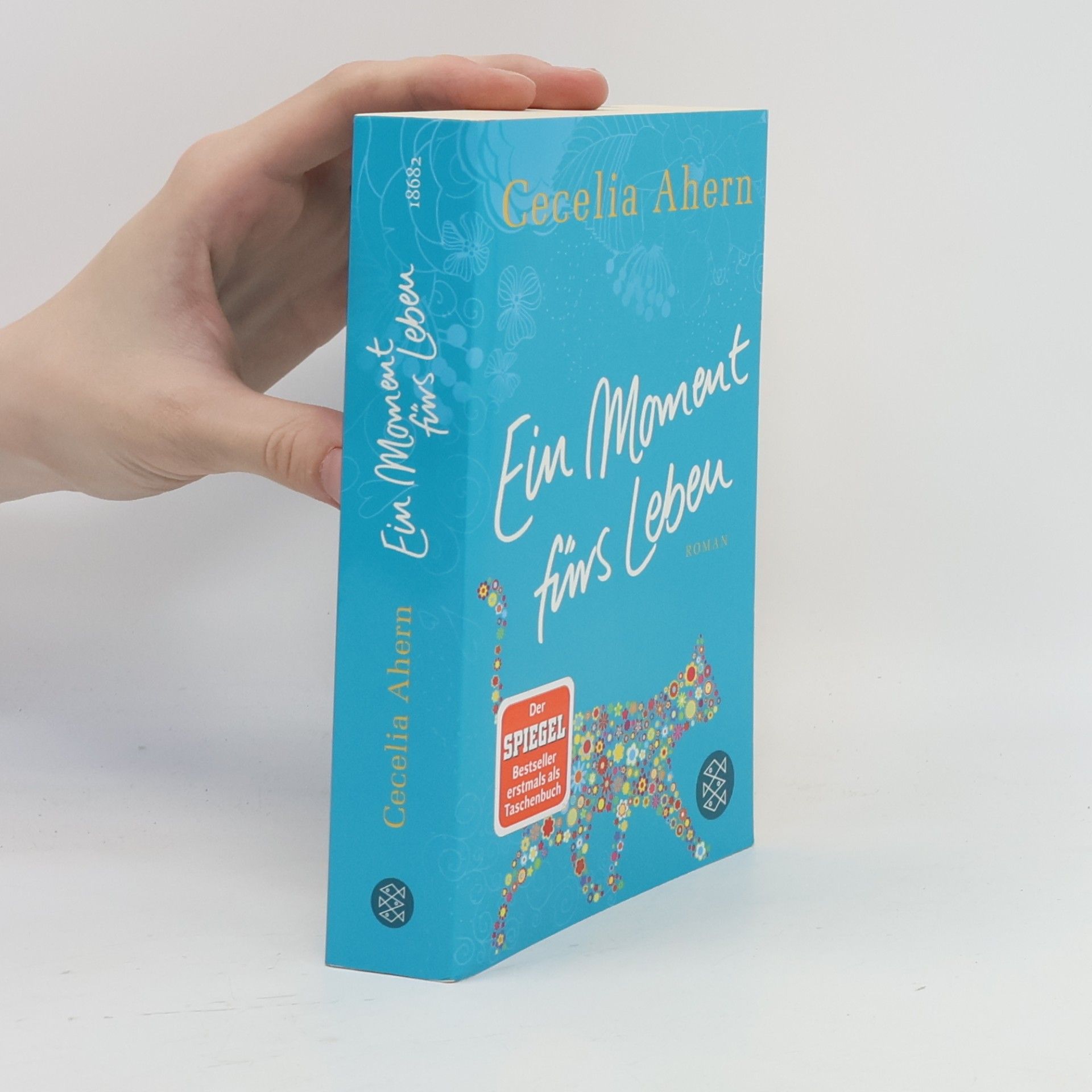 Cecelia Ahern Ein Moment fürs Leben