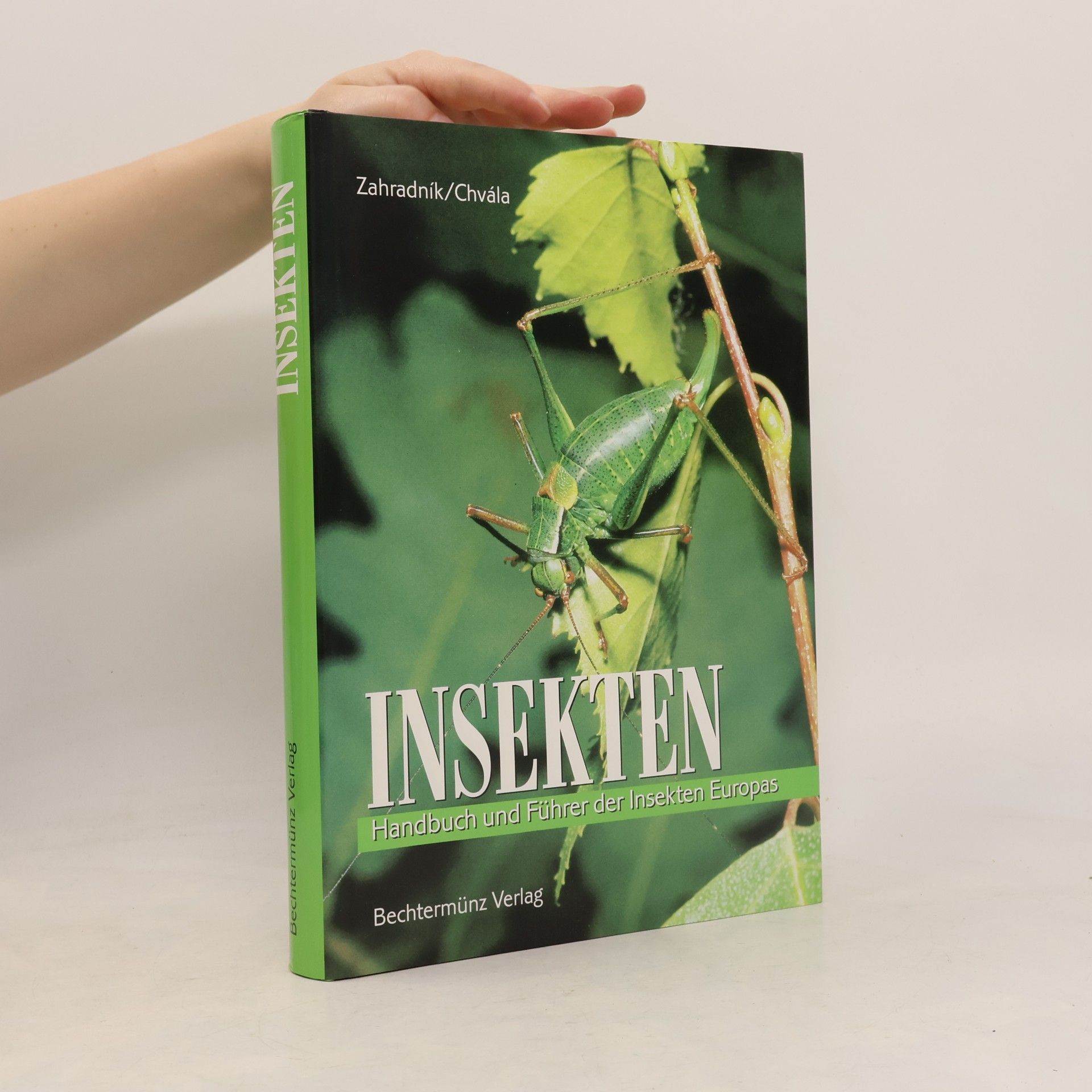 Kolektiv autorů Insekten