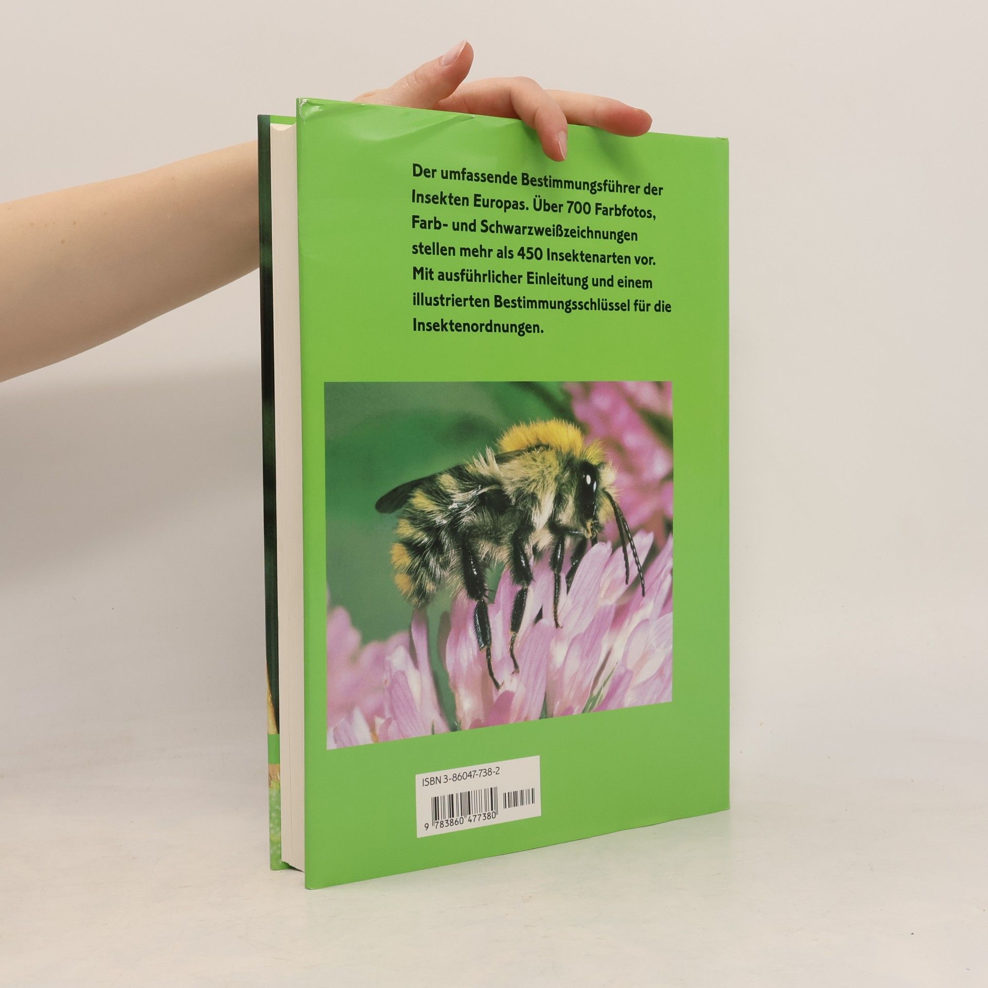 Autorenkollektiv Insekten
