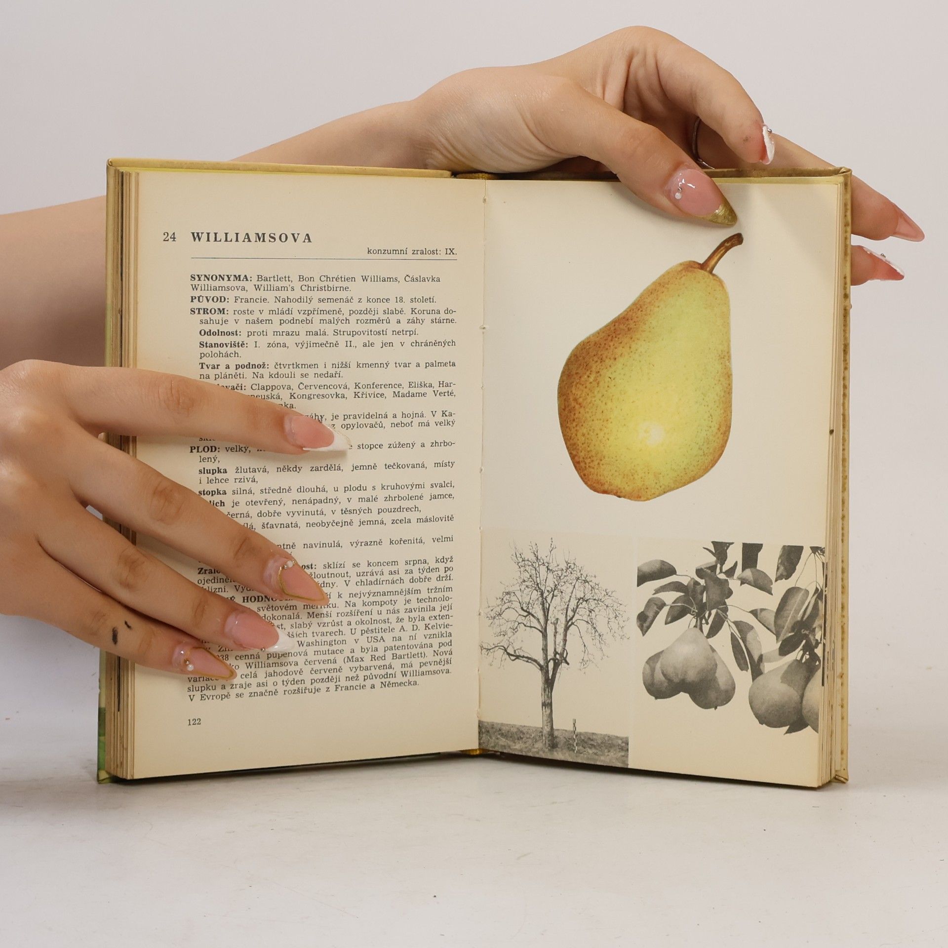 Kolektiv autorů Malá pomologie 2. Hrušky